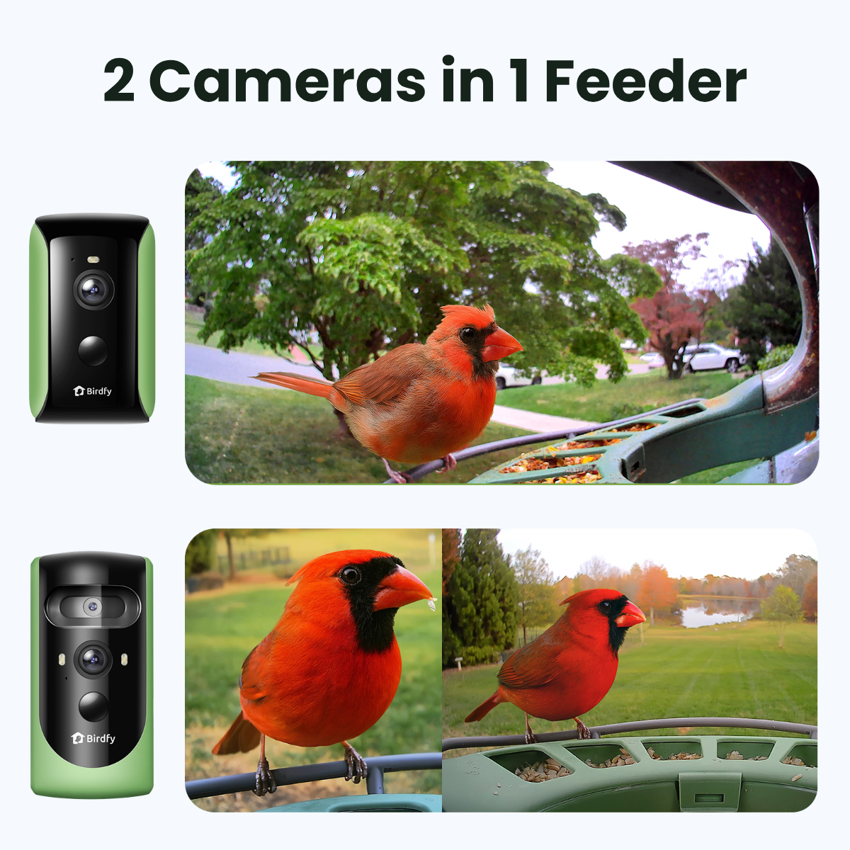 birdfy-feeder-2-duo-vogelhaus-mit-kamera-2k-triple-lens-solar image 3