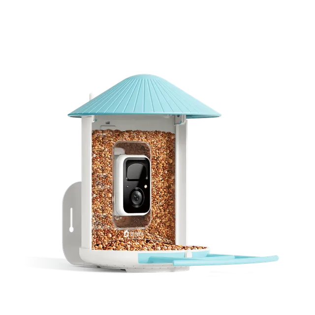 birdfy-feeder-bf1-2k-vogelfutterhaus-mit-kamera-blau-lifetime image 1