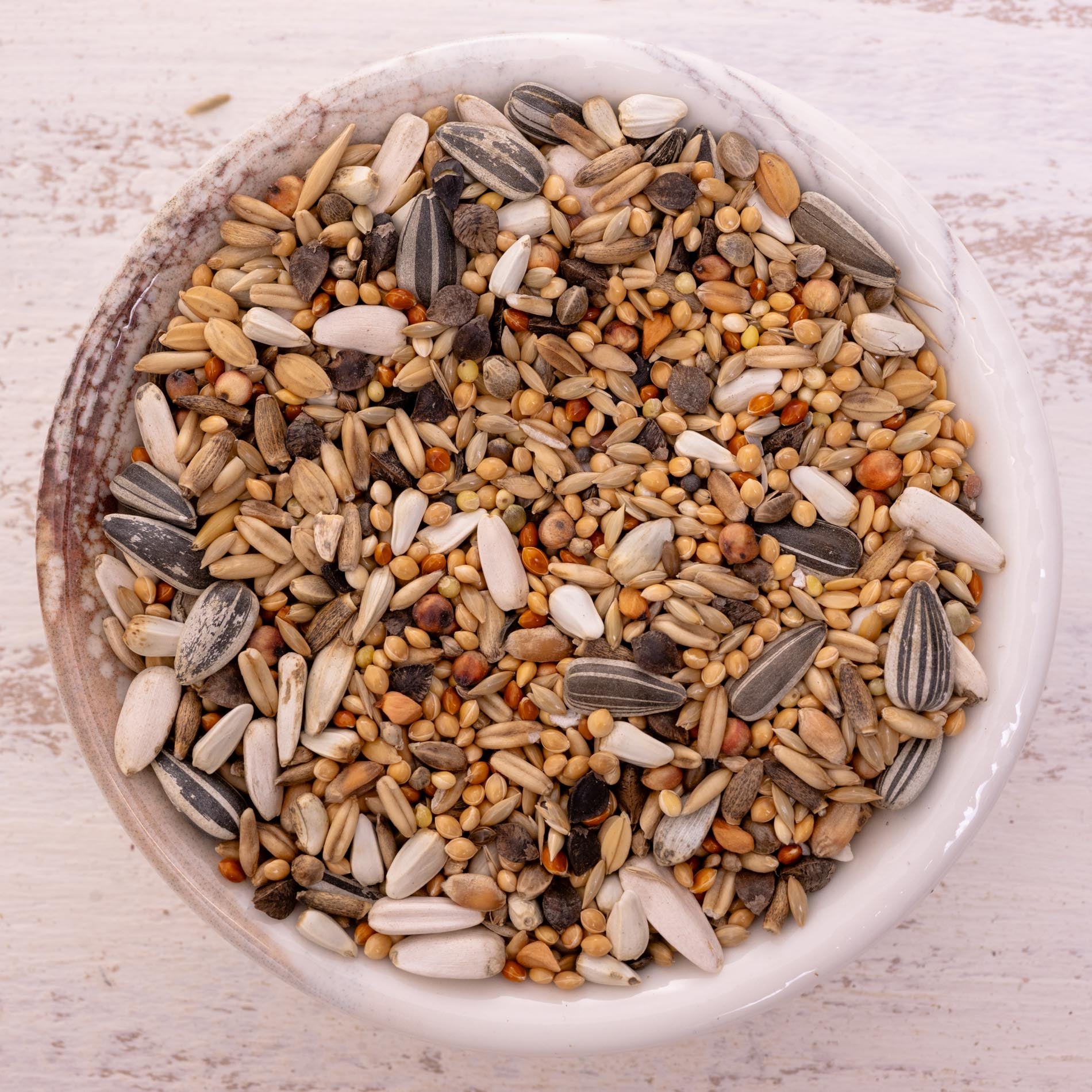 rico-s-futterkiste-gro-sittich-spezial-2-vogelfutter-1-kg-33-saaten image 1