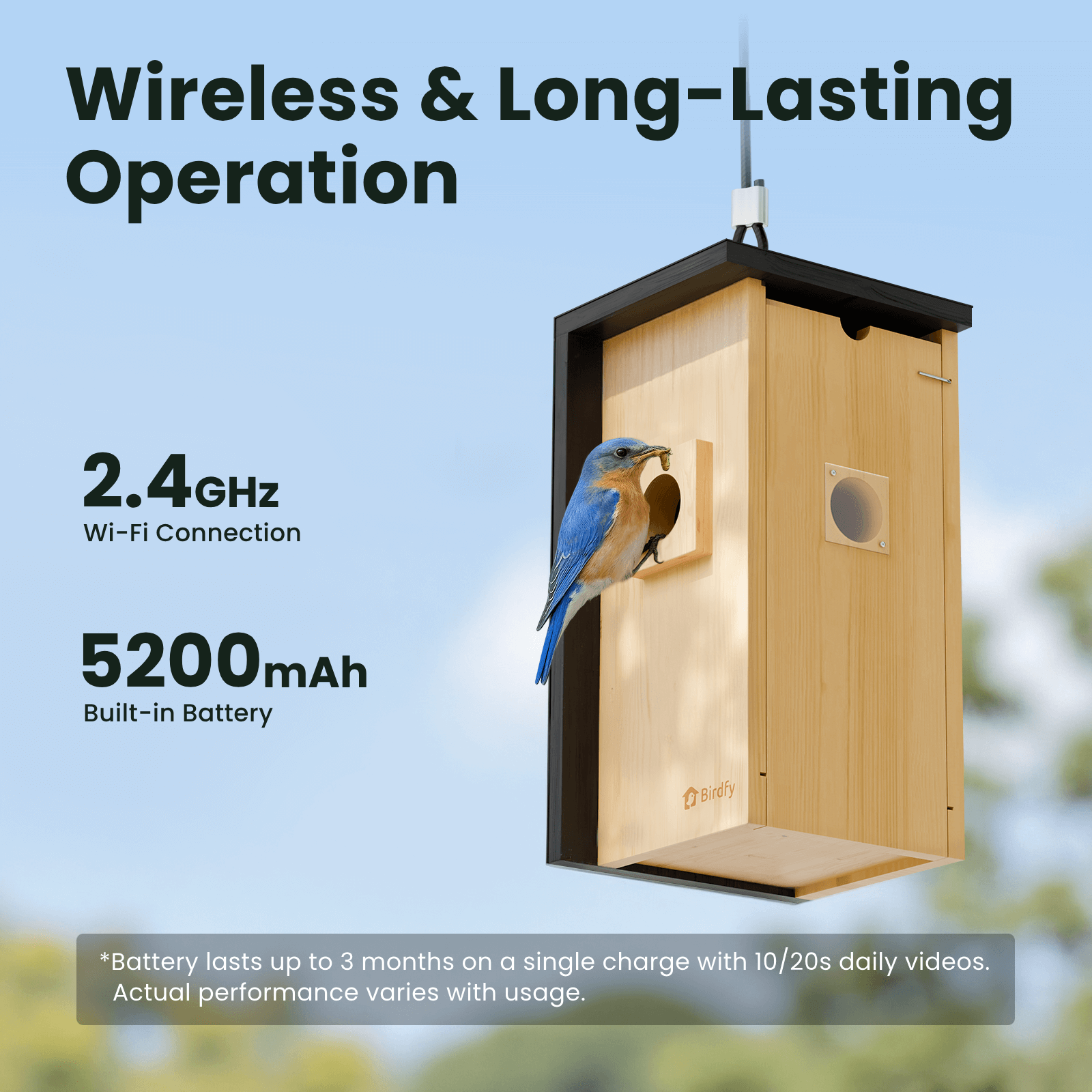 birdfy-nest-nistkasten-mit-kamera-holz-2k-nachtsicht image 6