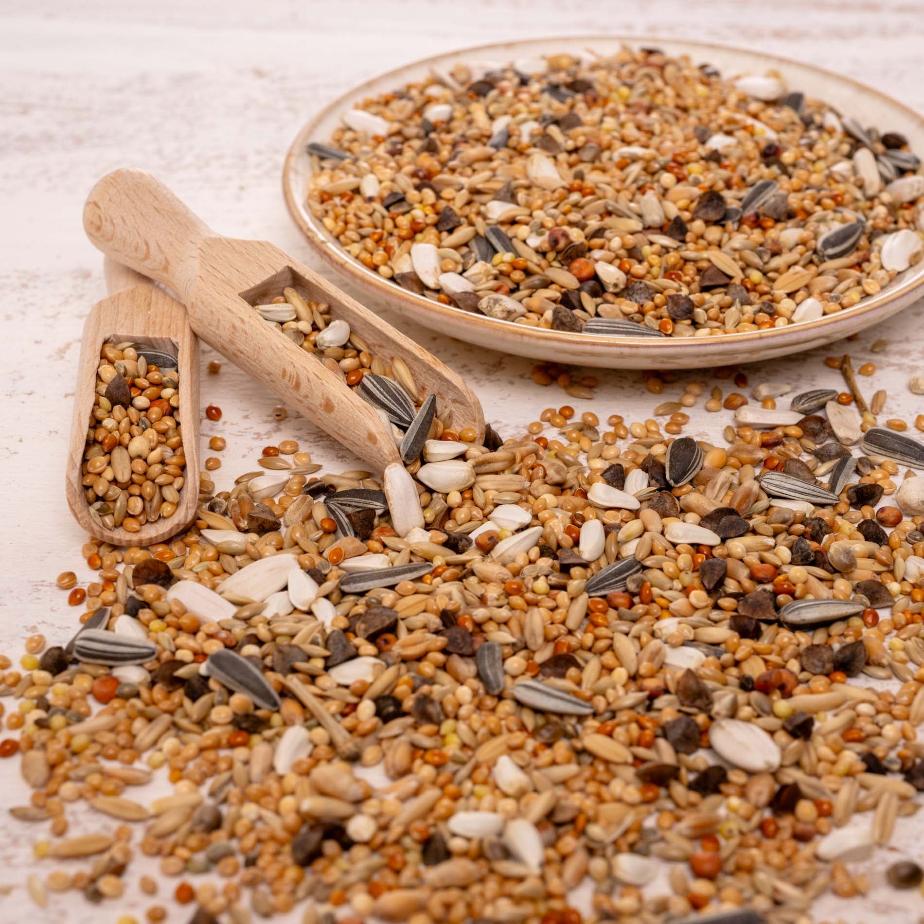 rico-s-futterkiste-gro-sittich-spezial-1-vogelfutter-1-kg-18-saaten image 4