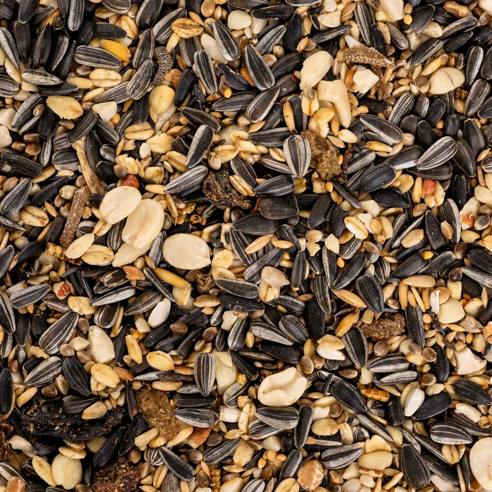 rico-s-futterkiste-wildvogelfutter-premium-ganzjahresfutter-1-kg image 2