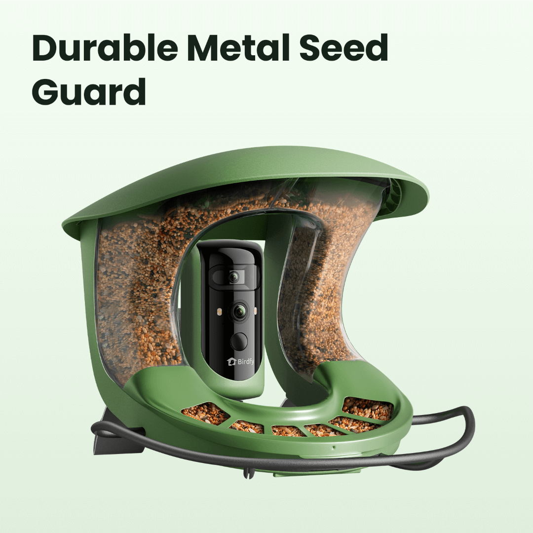birdfy-metal-seed-guard-vogelfutterschutz-feeder-2-metall image 2