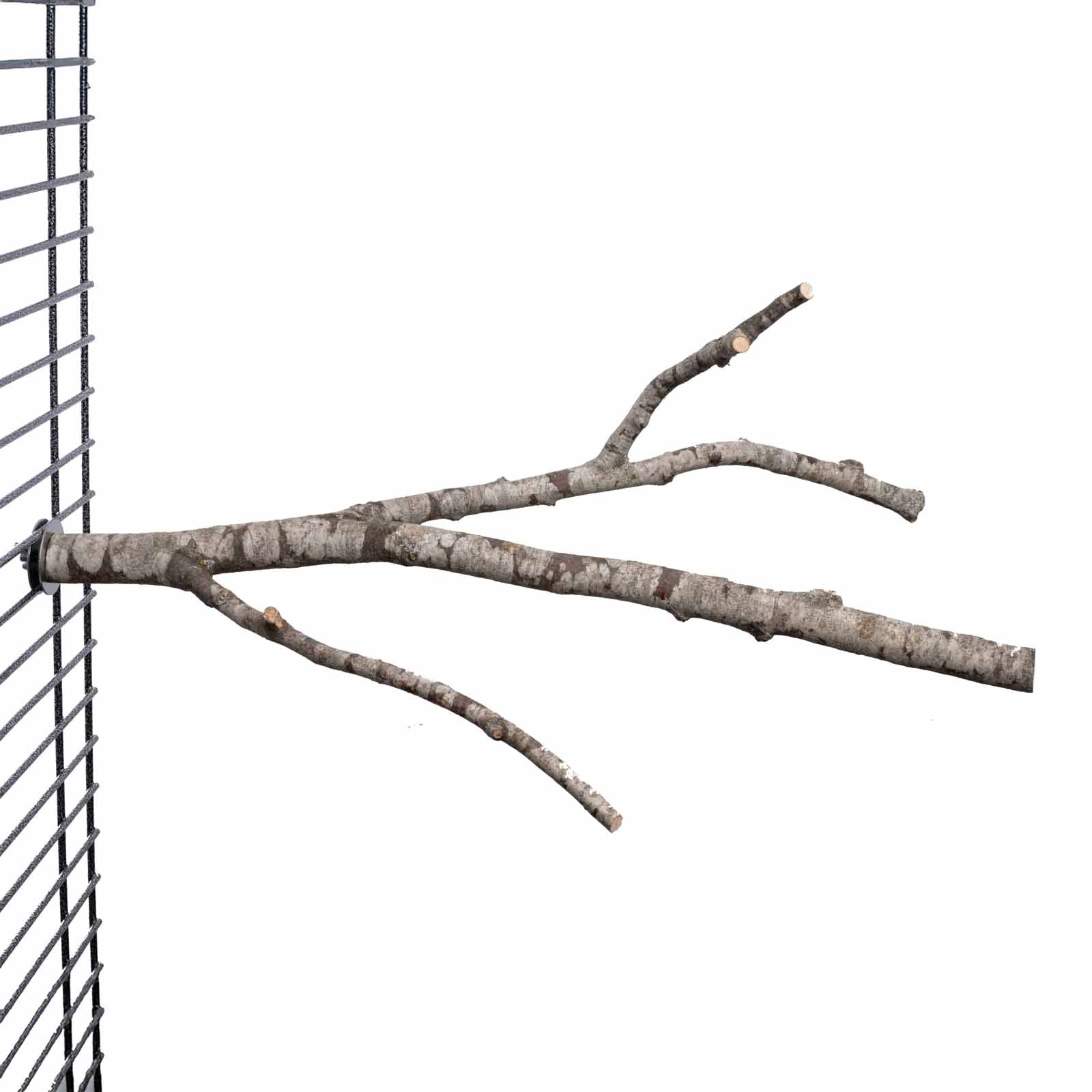 sitzast-verzweigt-mittel-natur-sitzstange-sittich-40-50cm image 1