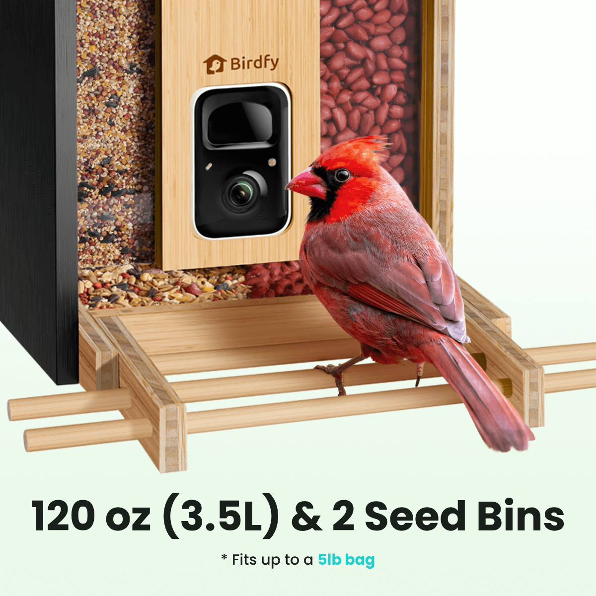 birdfy-bamboo-vogelfutterhaus-mit-kamera-solar-bambus image 7