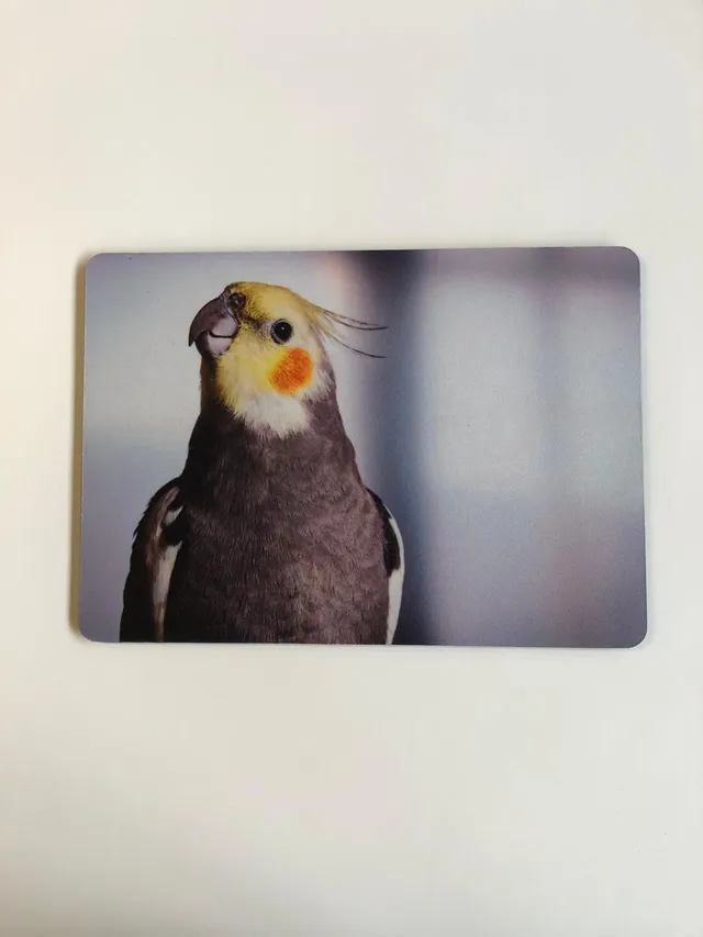 rico-s-futterkiste-tk09-mousepad-nymphensittich-27x19-cm image 1