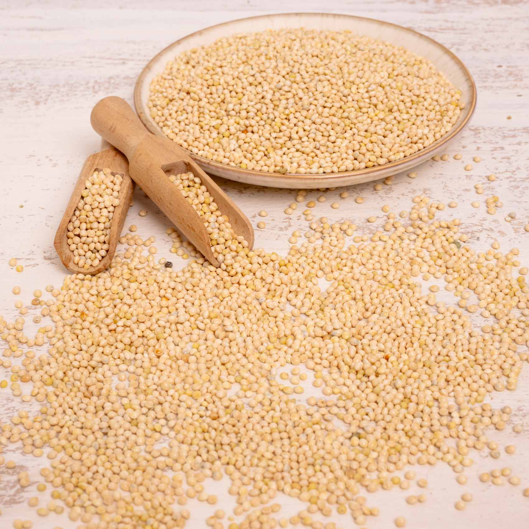 rico-s-futterkiste-silberhirse-lose-vogelfutter-500-g-bek-mmlich image 3