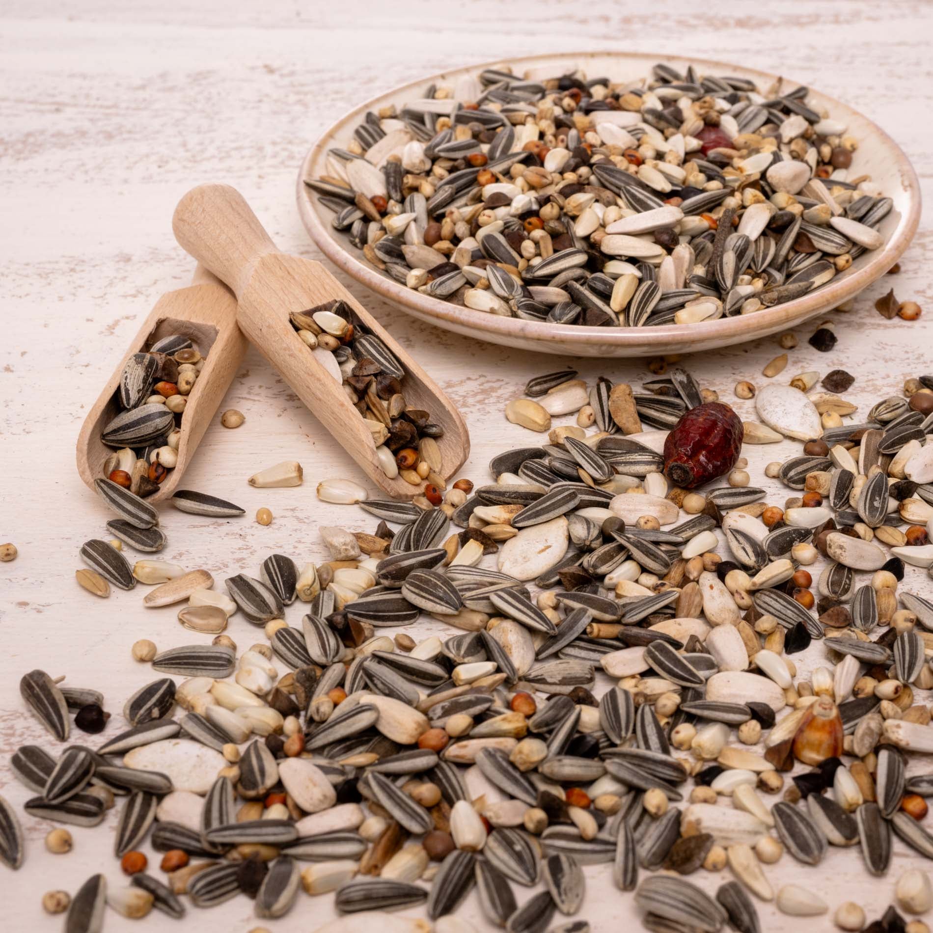 rico-s-futterkiste-graupapagei-spezial-1-papageienfutter-1-kg-naturbelassen image 4