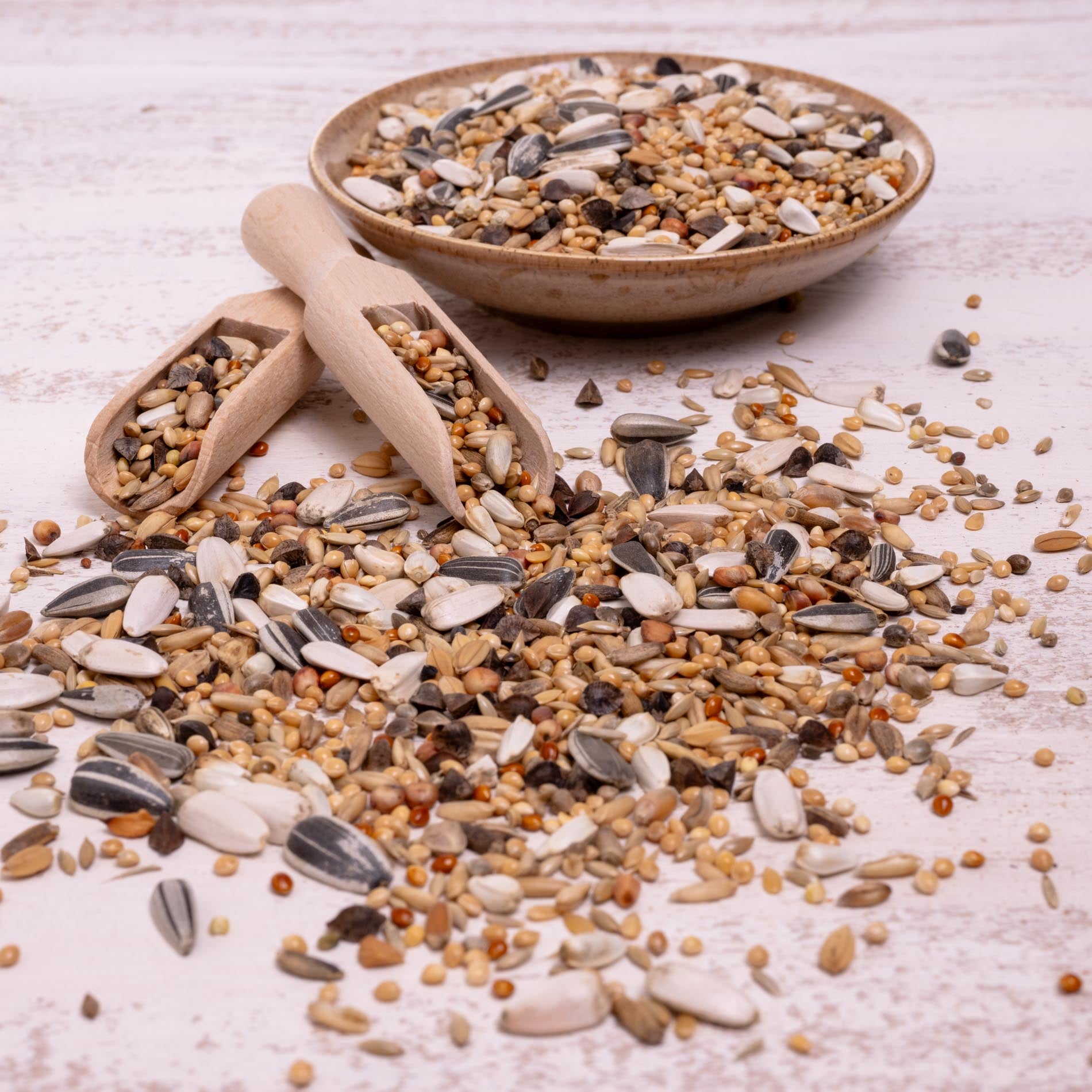 rico-s-futterkiste-gro-sittich-spezial-2-vogelfutter-1-kg-33-saaten image 3