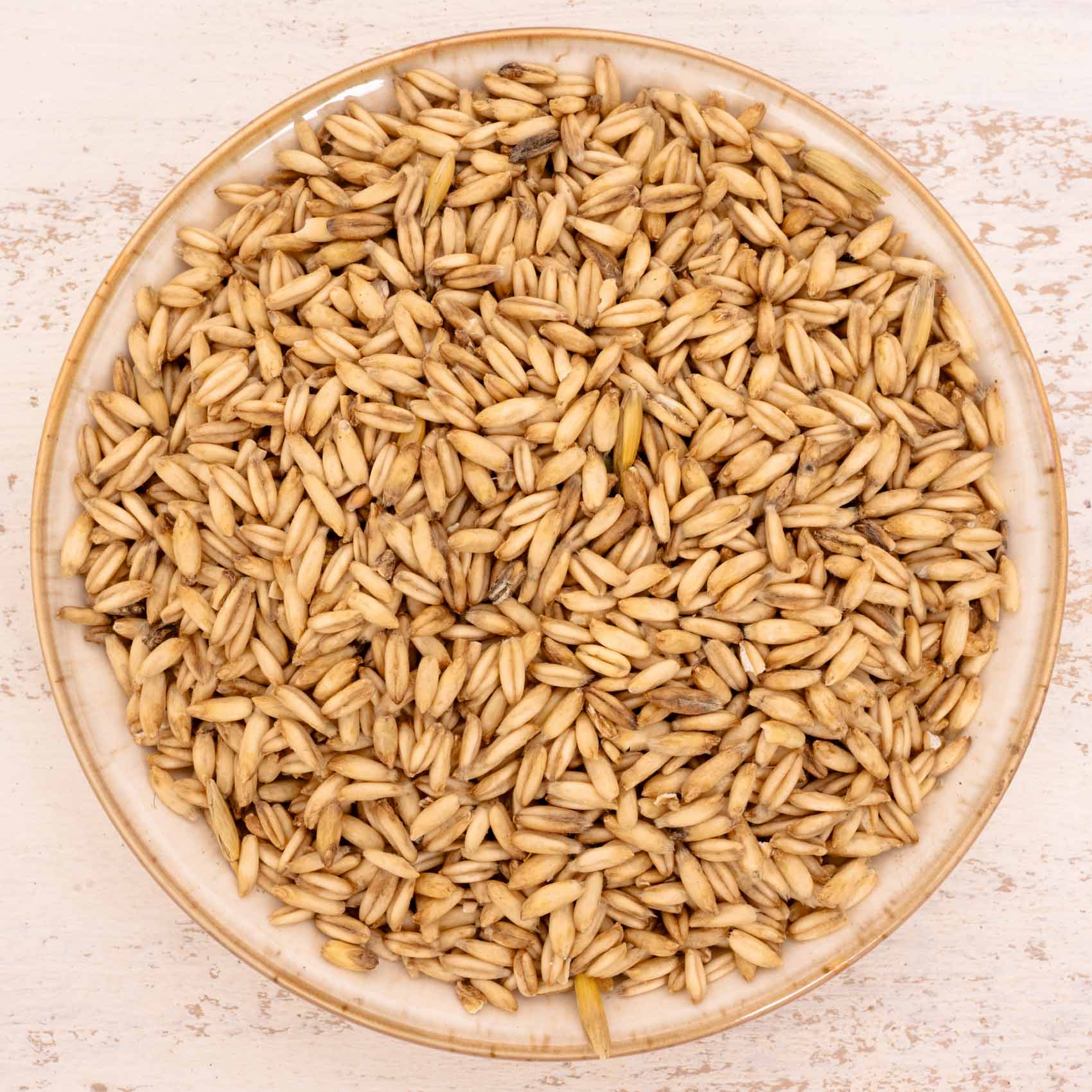 rico-s-futterkiste-einzelsaaten-nackthafer-vogelfutter-500-g-energiereich image 1