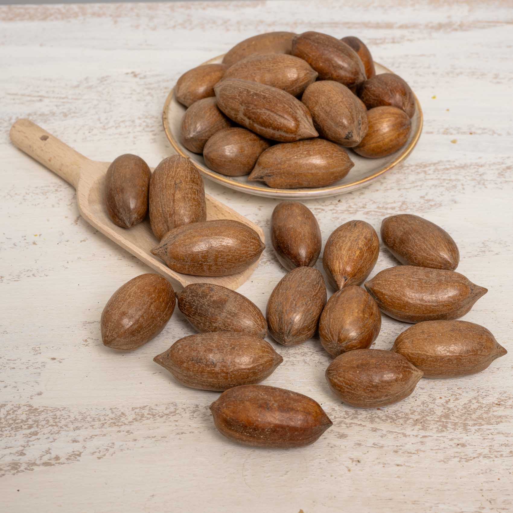 rico-s-futterkiste-n-sse-pecann-sse-mit-schale-papageienfutter-400-g image 3