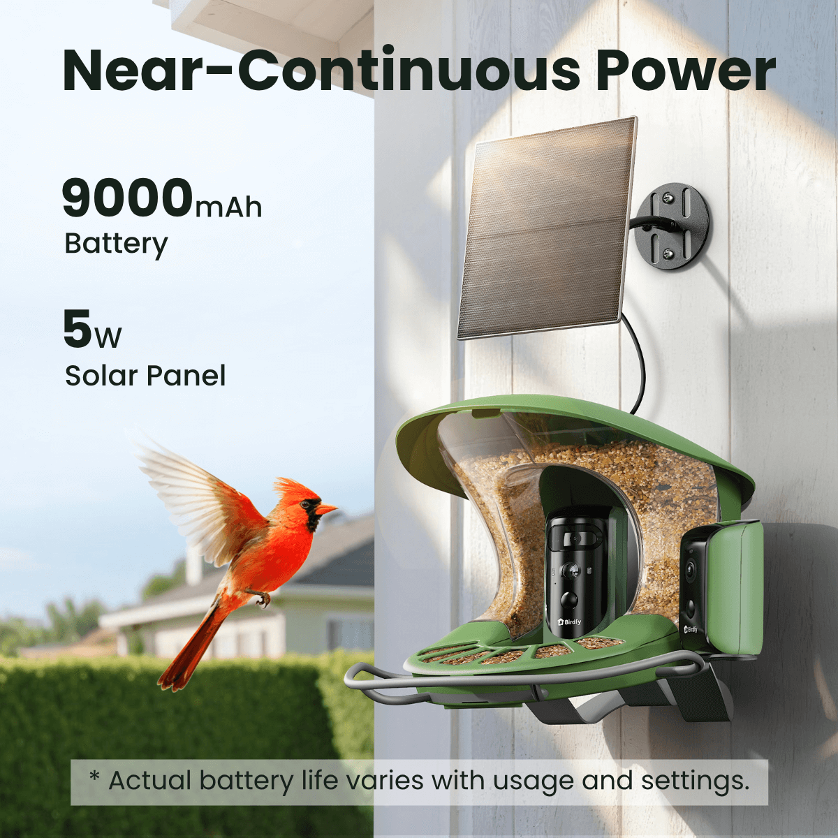 birdfy-feeder-2-duo-vogelhaus-mit-kamera-2k-triple-lens-solar image 8