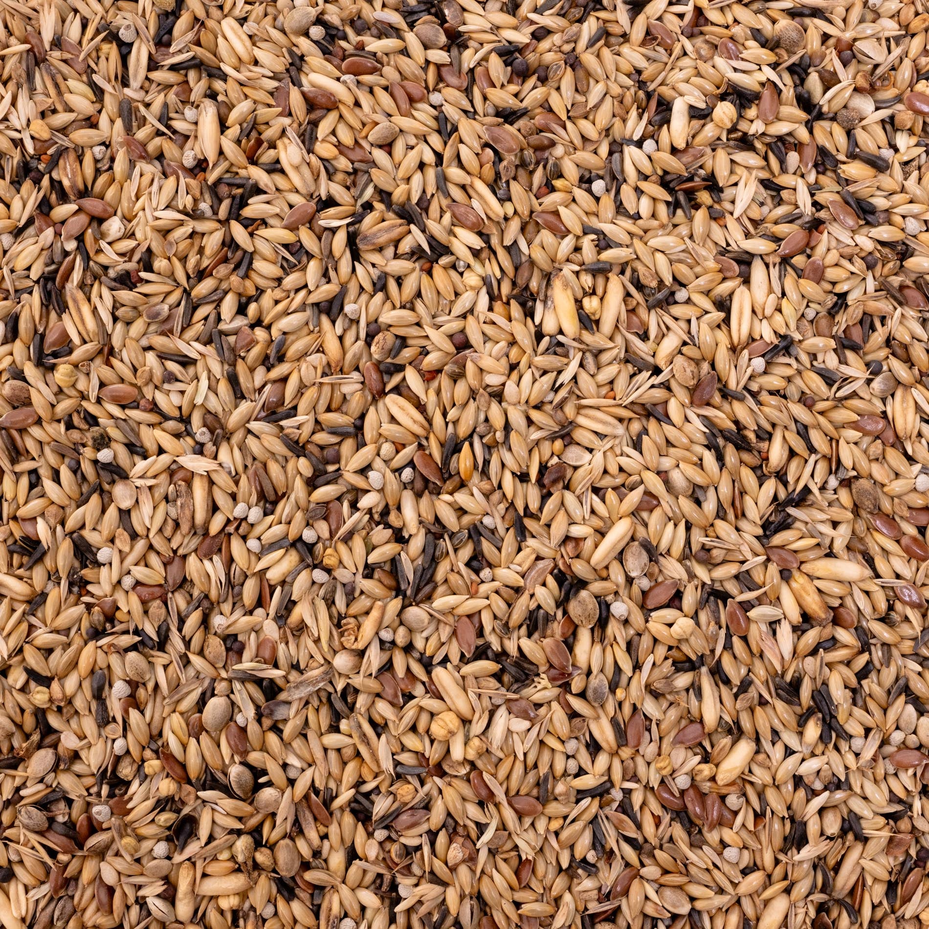 rico-s-futterkiste-kanarienfutter-vogelfutter-1-kg-18-saaten image 2