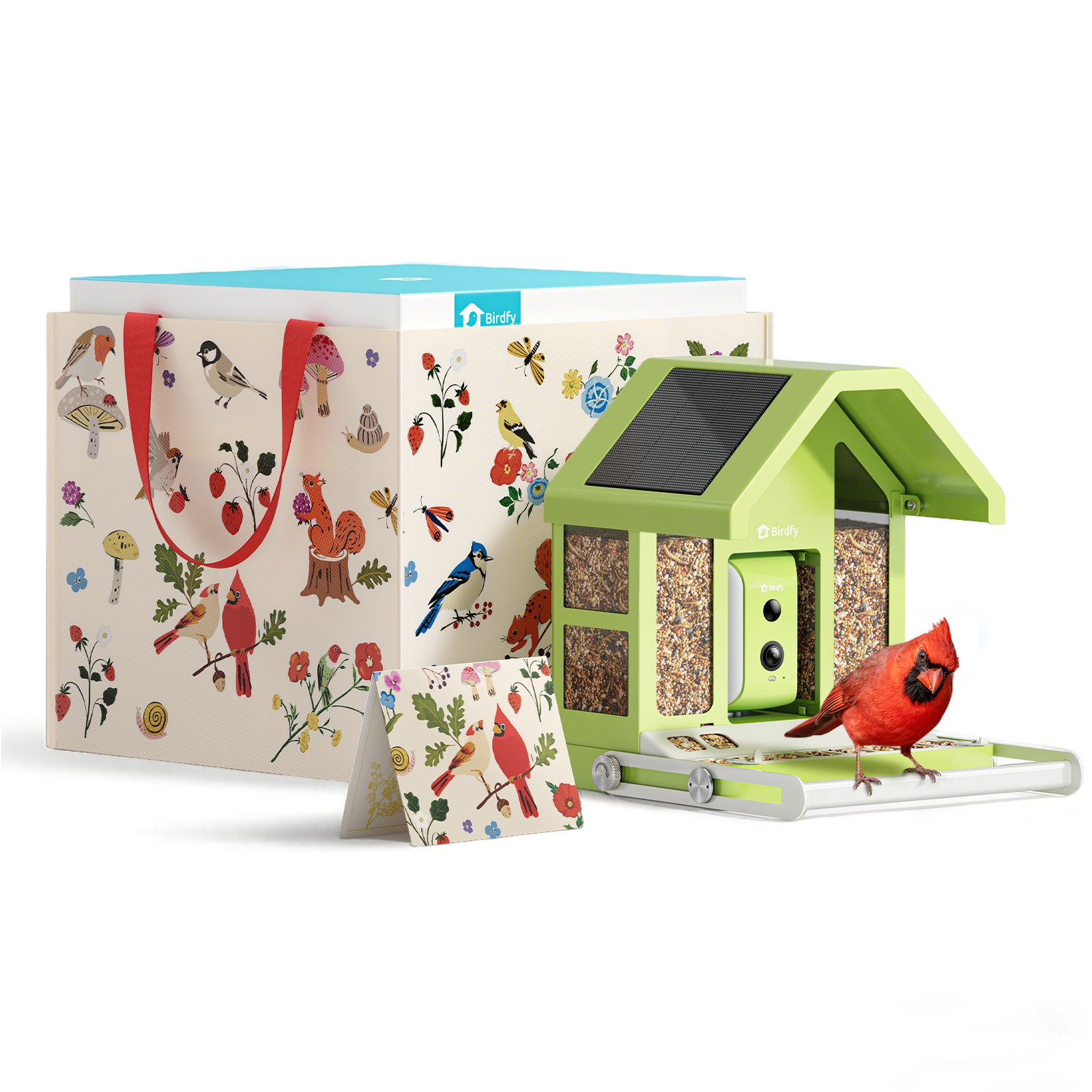birdfy-feeder-metal-vogelhaus-mit-kamera-geschenkset-solar image 1