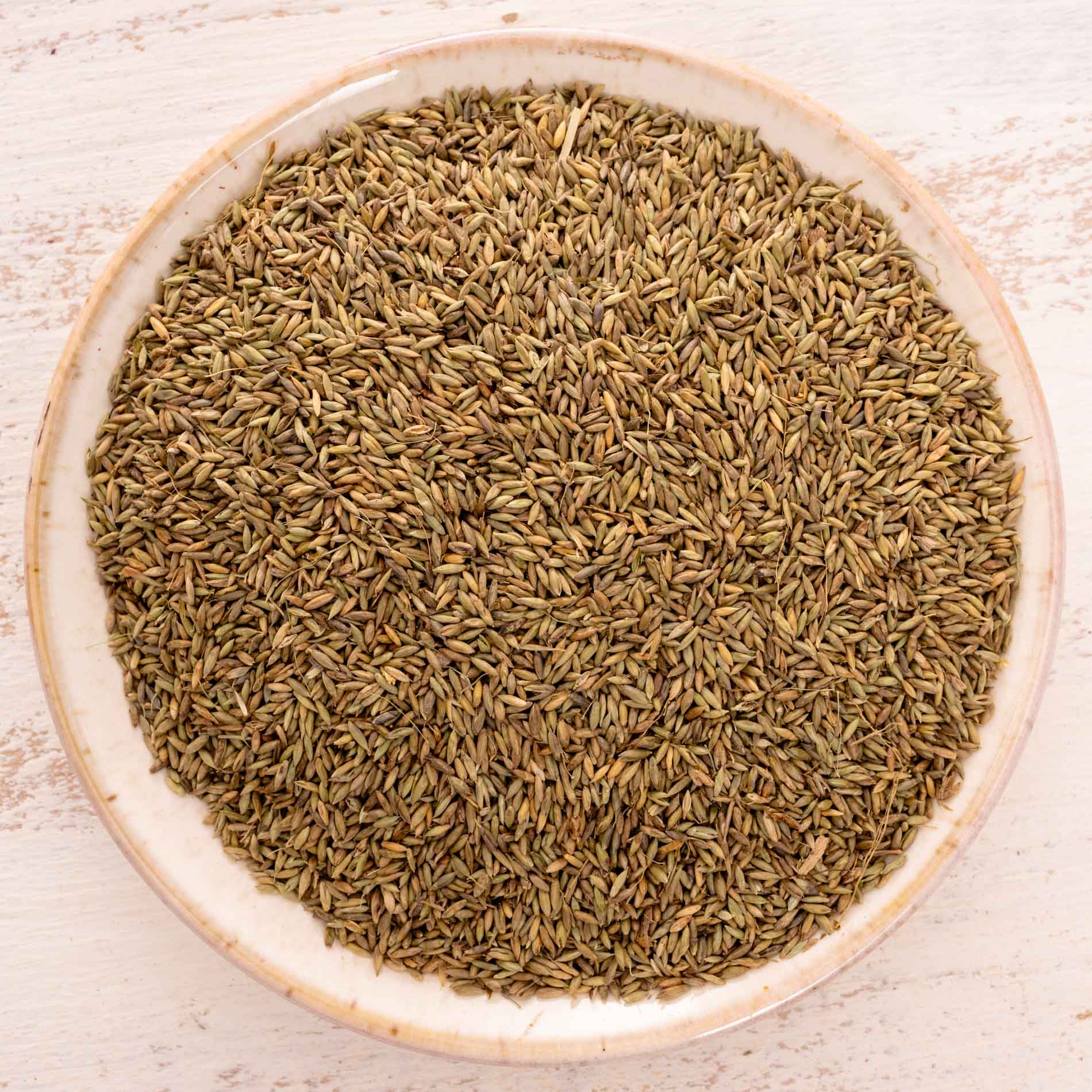 rico-s-futterkiste-pagima-green-vogelfutter-einzelsaat-100-g-ballaststoffe image 1