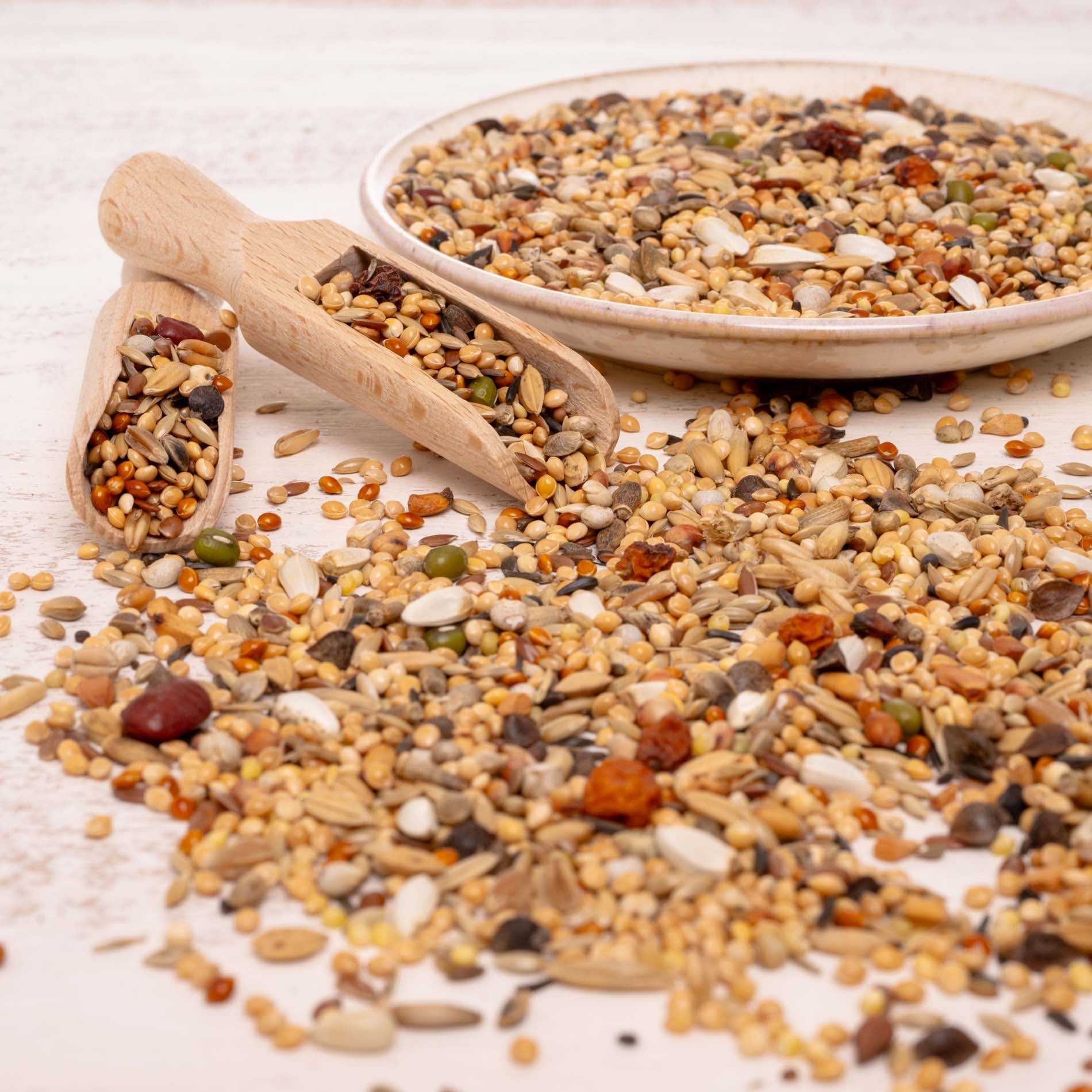 rico-s-futterkiste-gro-sittich-spezial-3-vogelfutter-1-kg-ohne-sonnenblumen image 4