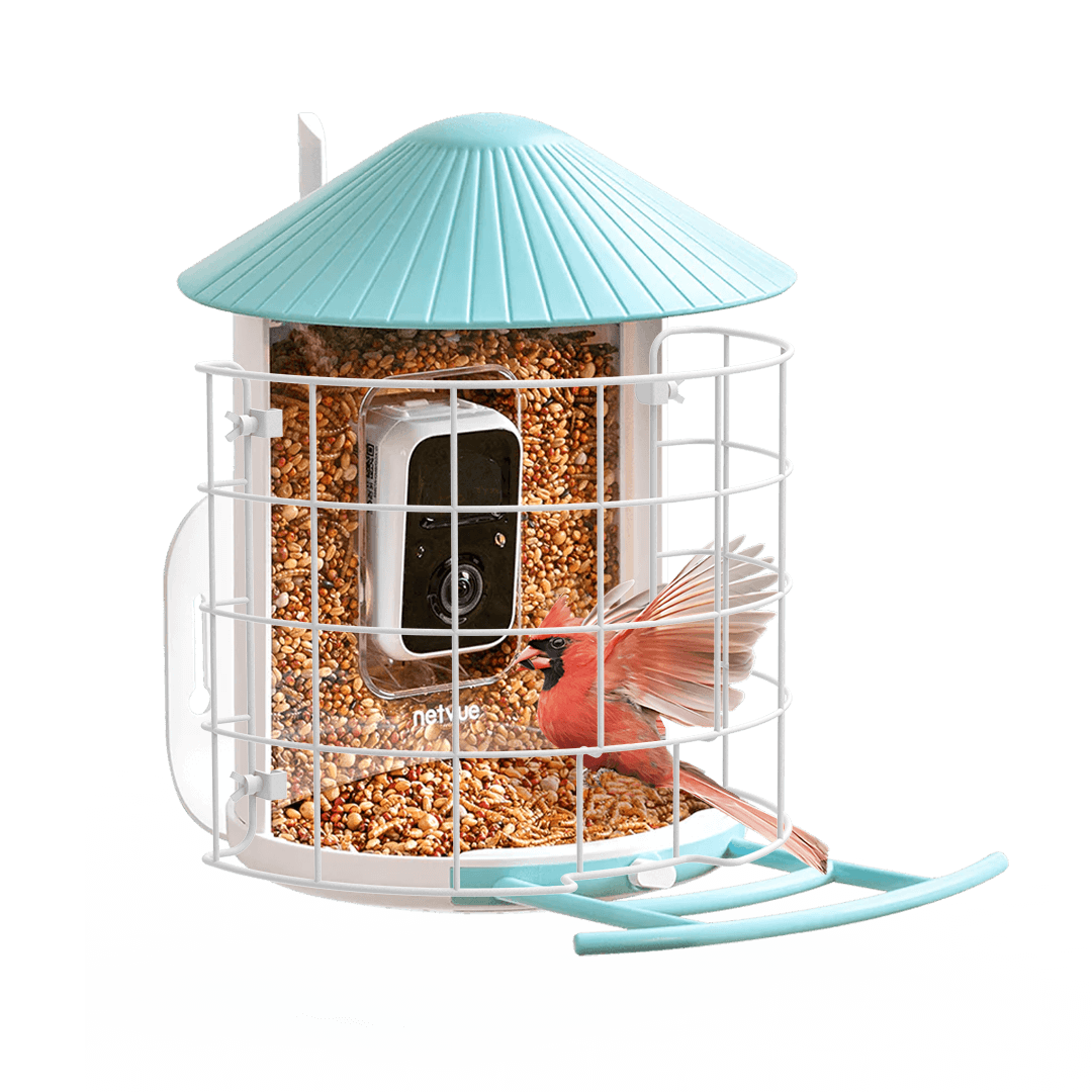 birdfy-shield-schutz-f-r-vogelfutterhaus-feeder-1 image 2