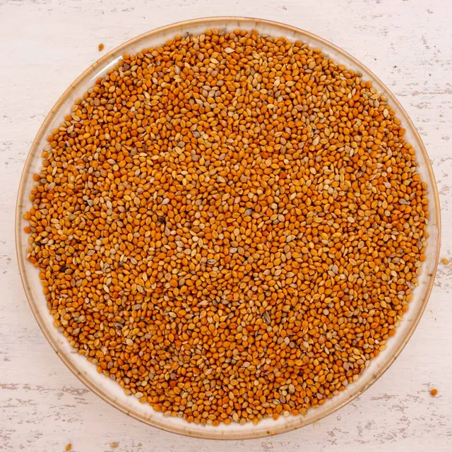 rico-s-futterkiste-mannahirse-vogelfutter-500-g-feink-rnig image 1