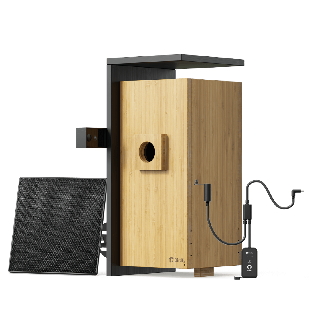 birdfy-nest-duo-nistkasten-mit-2-kameras-bambus-2mp image 1
