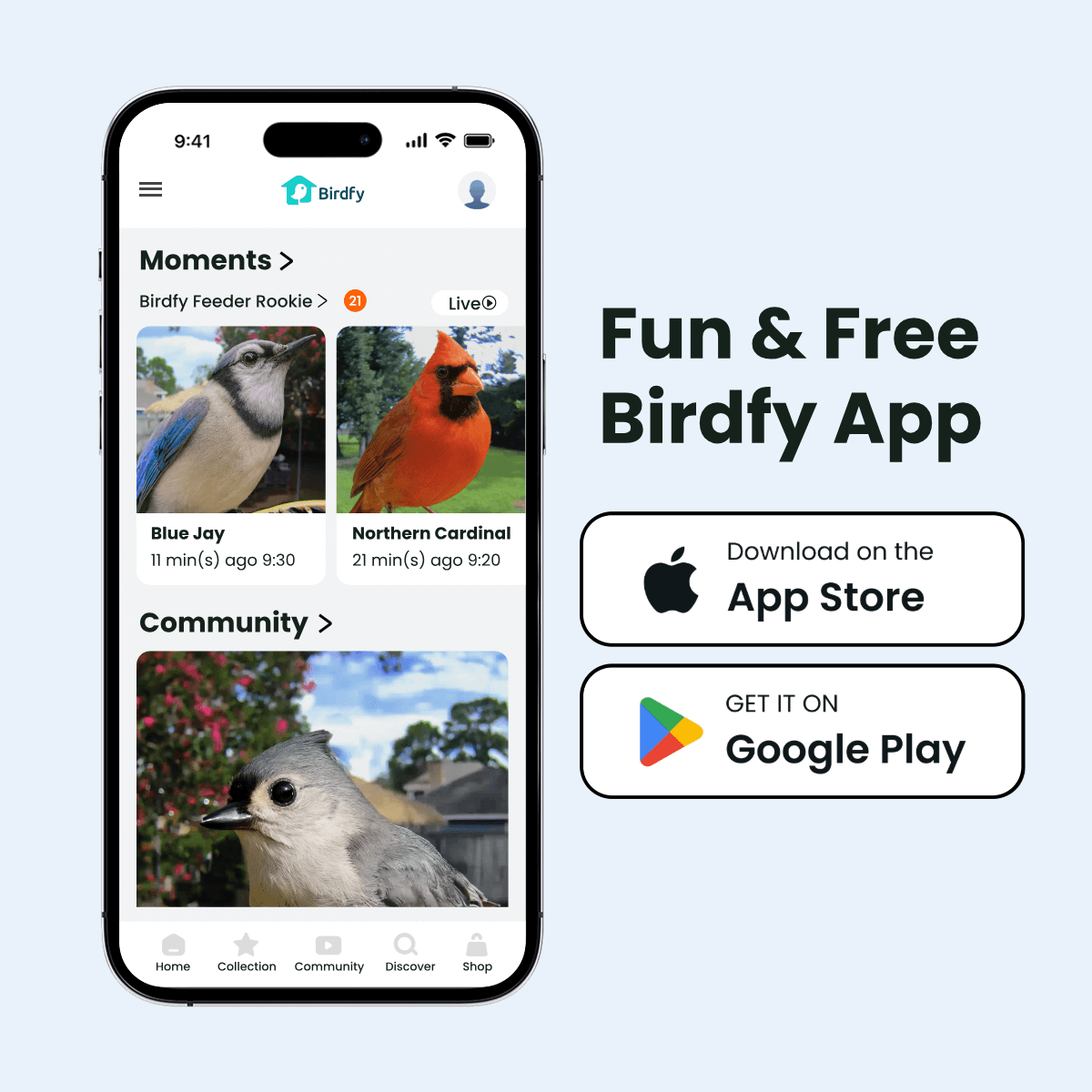 birdfy-feeder-rookie-vogelhaus-mit-kamera-1080p-inkl-mitgliedschaft image 7