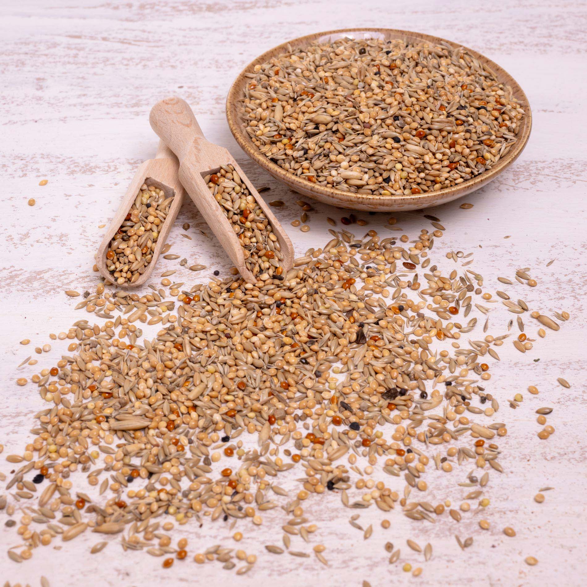 rico-s-futterkiste-wellensittich-spezial-2-vogelfutter-1-kg image 3