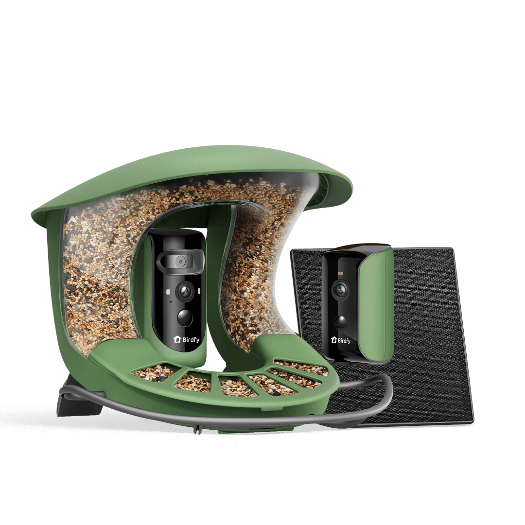 birdfy-feeder-2-duo-vogelhaus-mit-kamera-2k-triple-lens-solar image 1