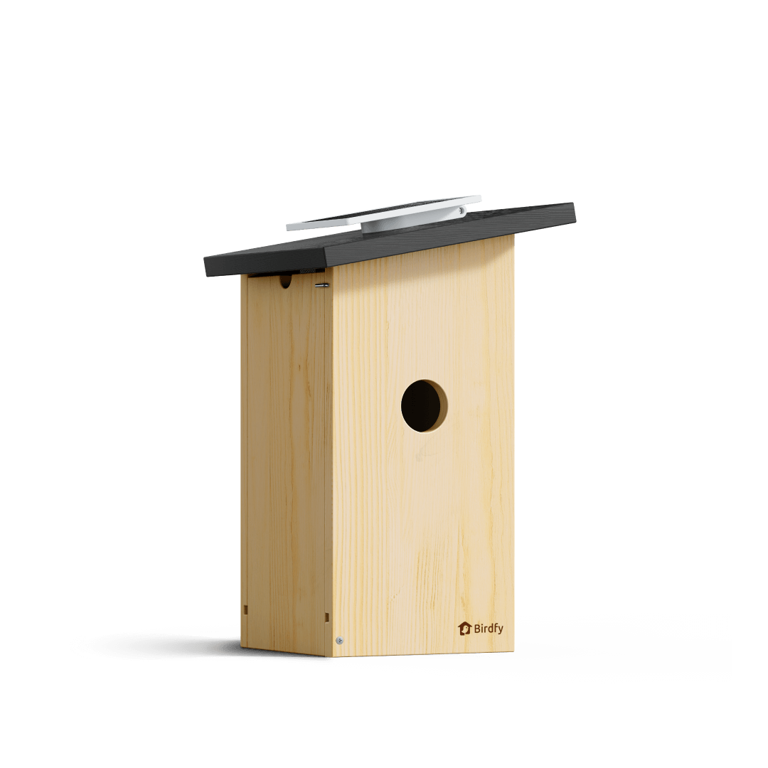 birdfy-nest-ebony-nistkasten-mit-kamera-holz-solar-1080p image 1