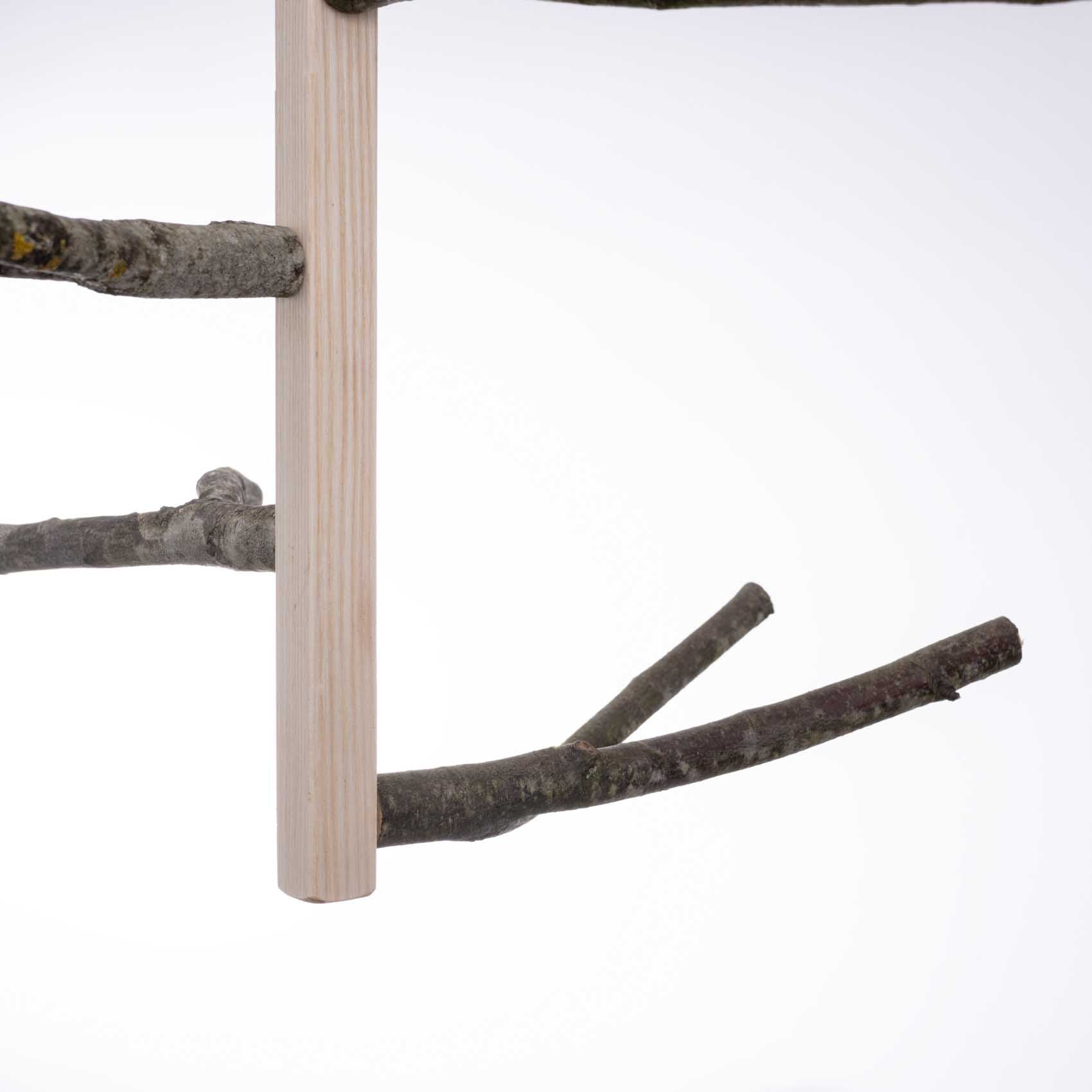 rico-s-futterkiste-gro-er-sittichwirbel-sittichspielzeug-naturholz image 4