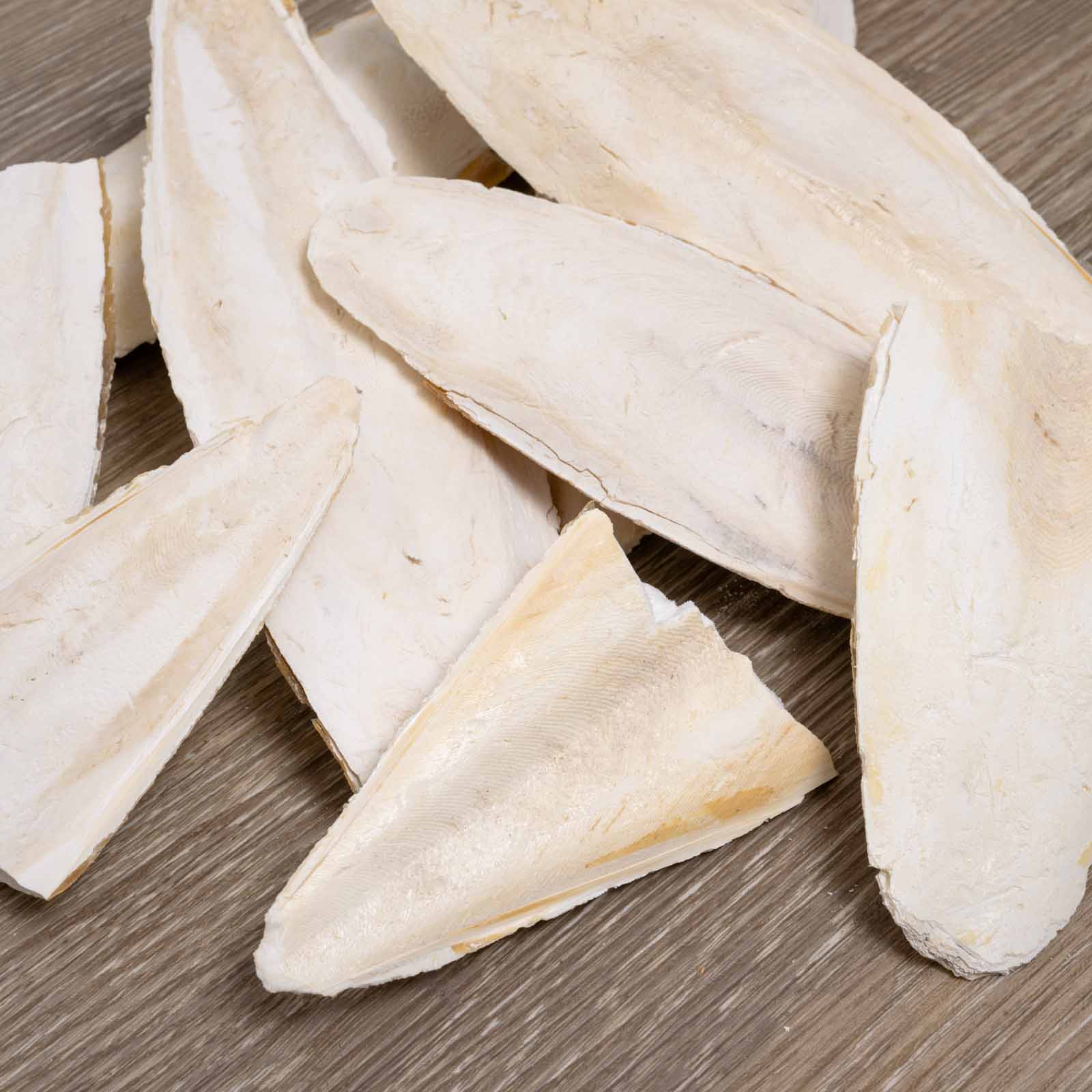 rico-s-futterkiste-sepia-schalen-bruch-calcium-100-g-naturbelassen image 2