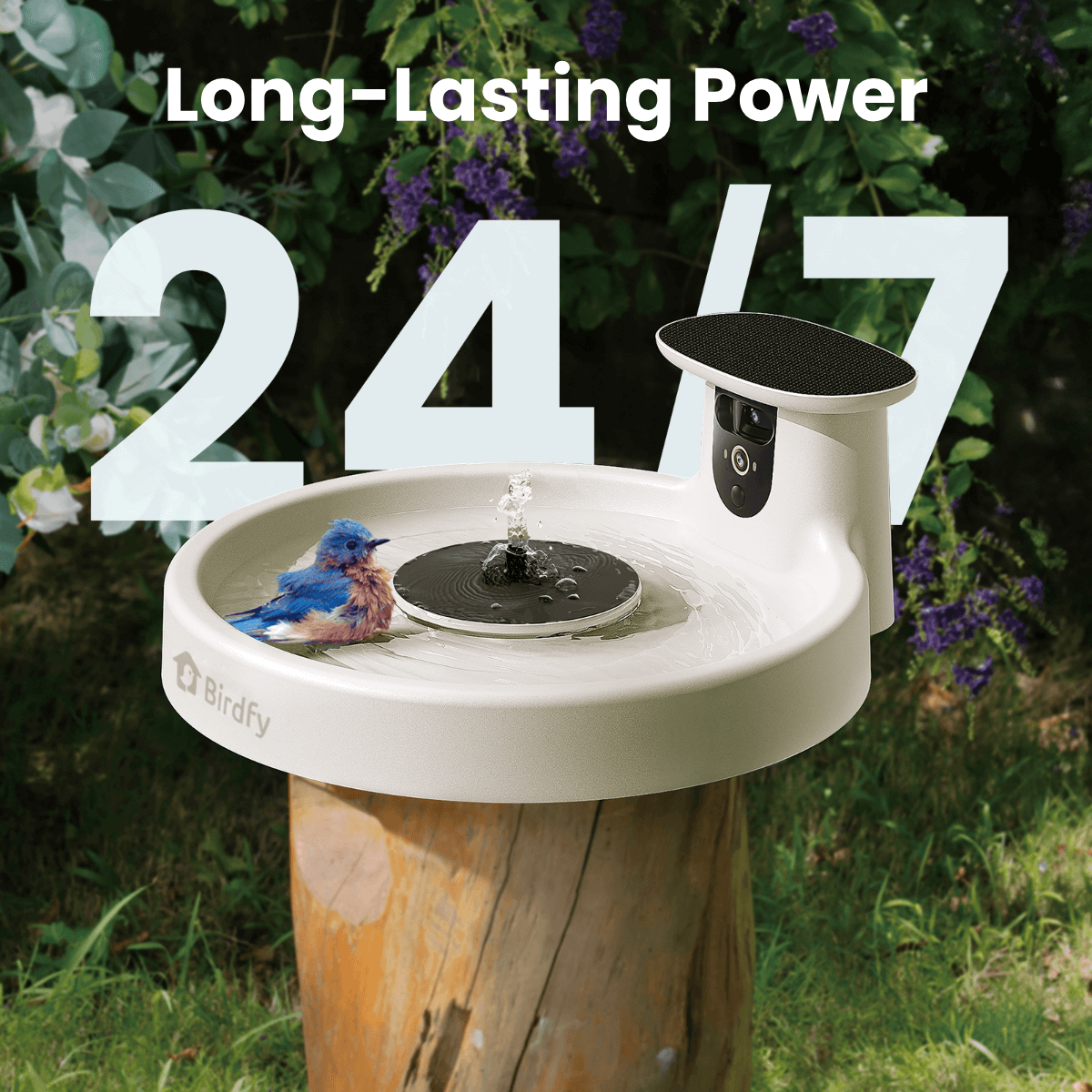 birdfy-bath-pro-vogeltr-nke-mit-kamera-wei-solar-2k image 7