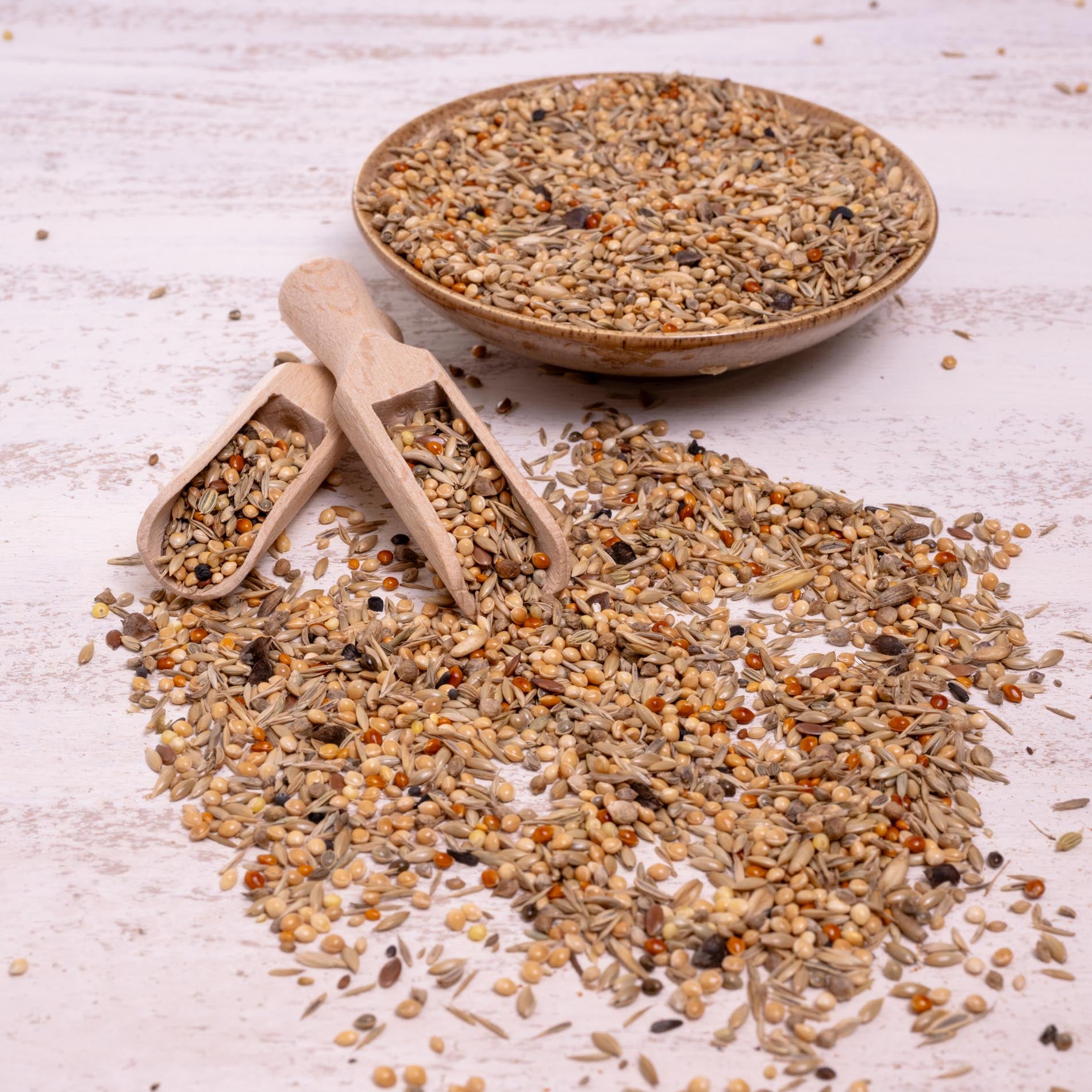 rico-s-futterkiste-gro-sittich-vogelfutter-nymphensittich-1-kg image 3