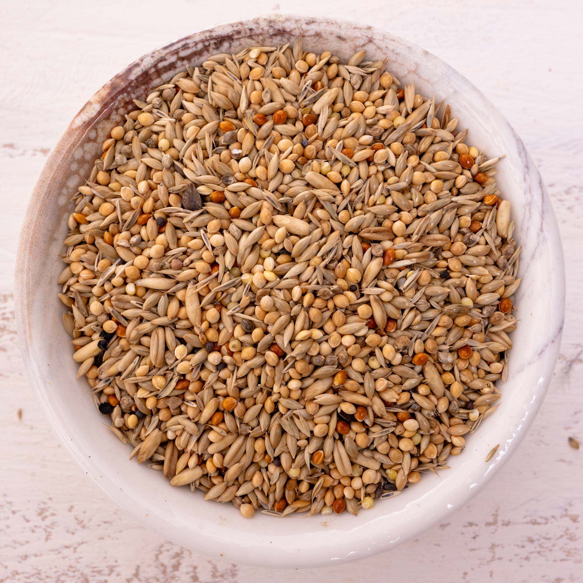 rico-s-futterkiste-wellensittich-spezial-2-vogelfutter-1-kg image 1