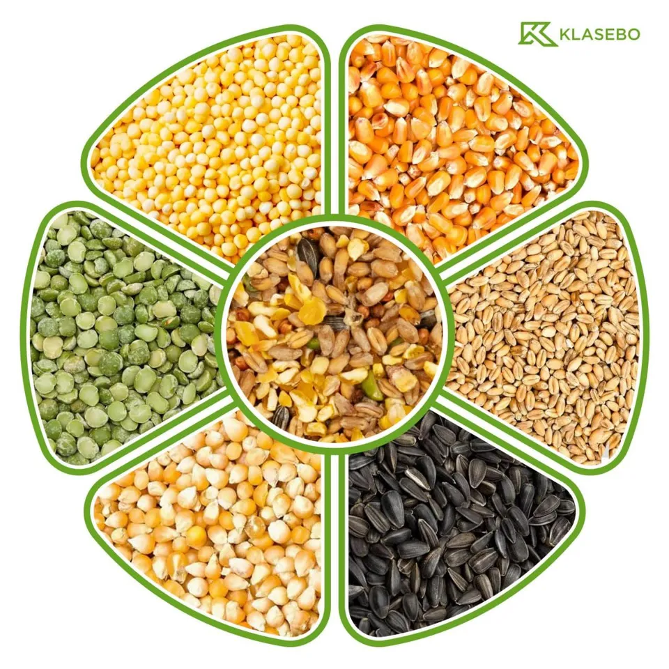 klasebo-vogelfutter-premium-4-jahreszeiten-streufutter-25-kg image 1