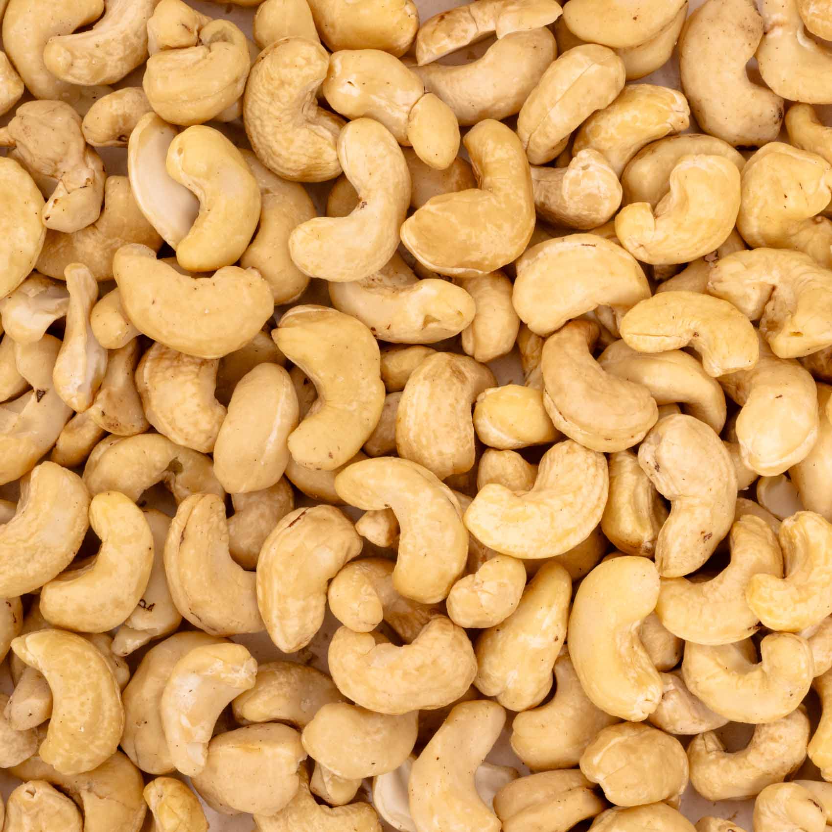 rico-s-futterkiste-cashewkerne-papageienfutter-100-g image 2