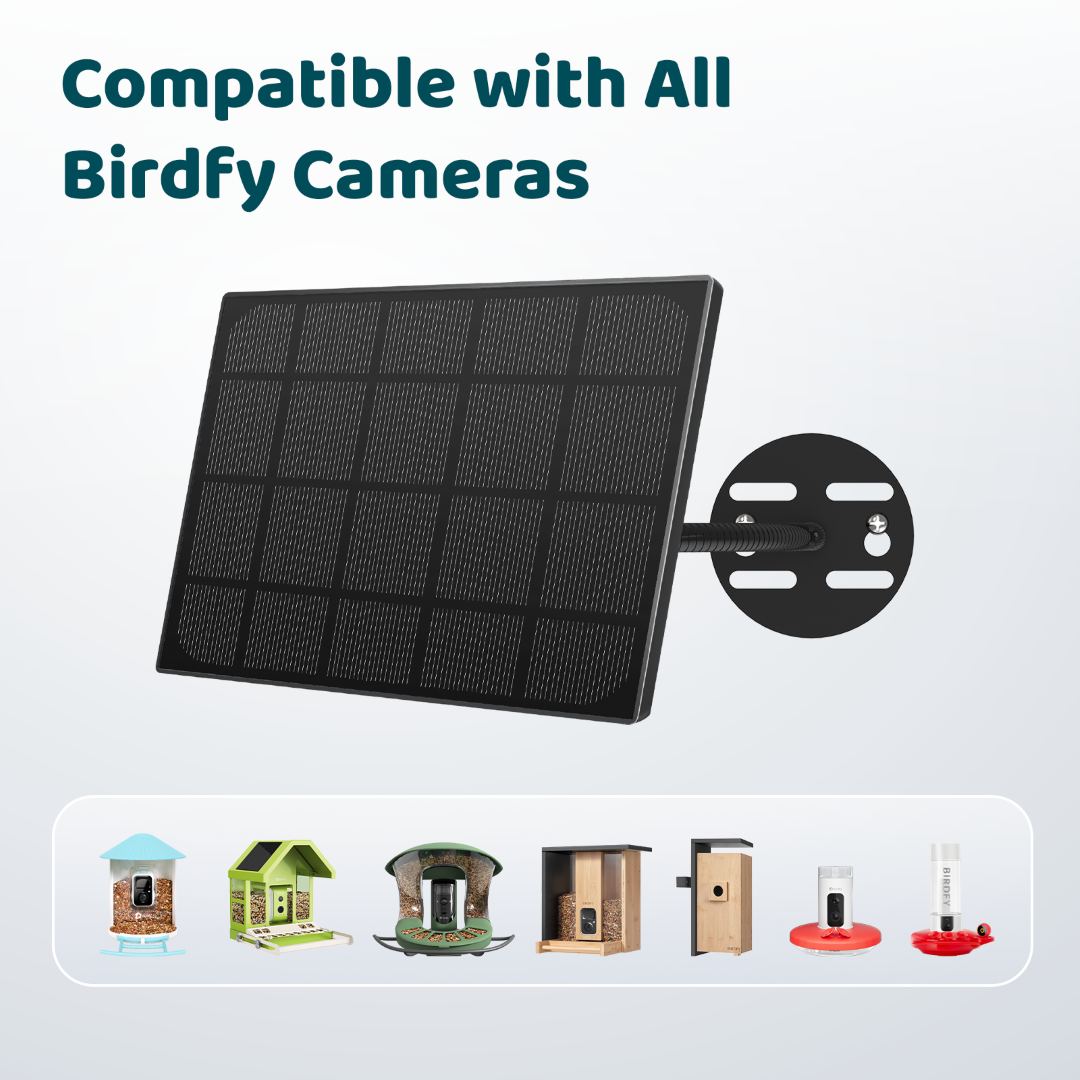 birdfy-solar-panel-typ-c-solarmodul-f-r-futterhaus-8w-nagesicher image 2
