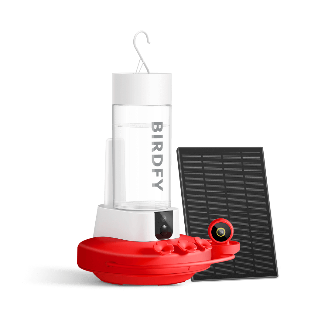birdfy-hum-feeder-duo-kolibri-futterhaus-mit-kamera-doppelkamera image 1