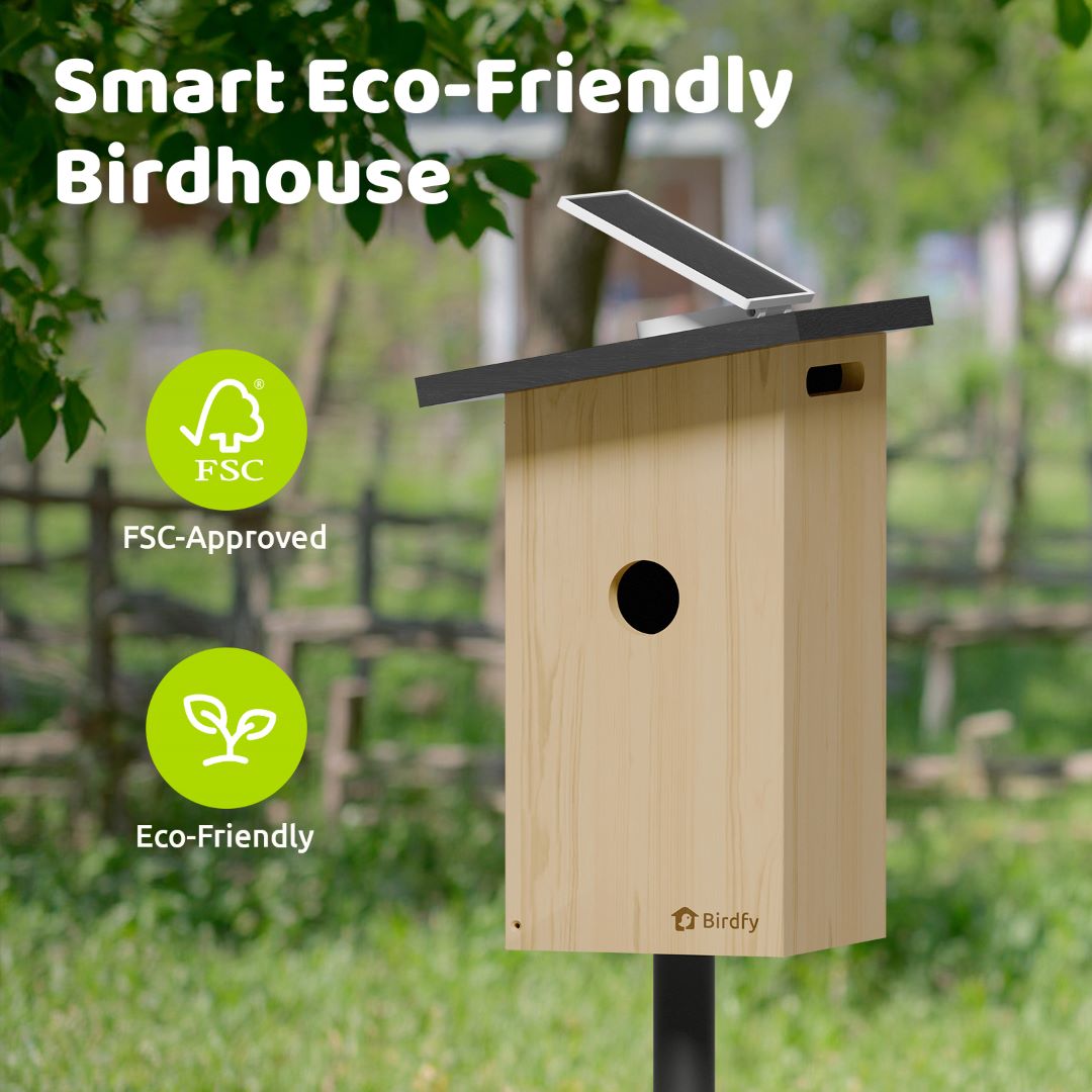 birdfy-nest-ebony-nistkasten-mit-kamera-holz-solar-1080p image 2