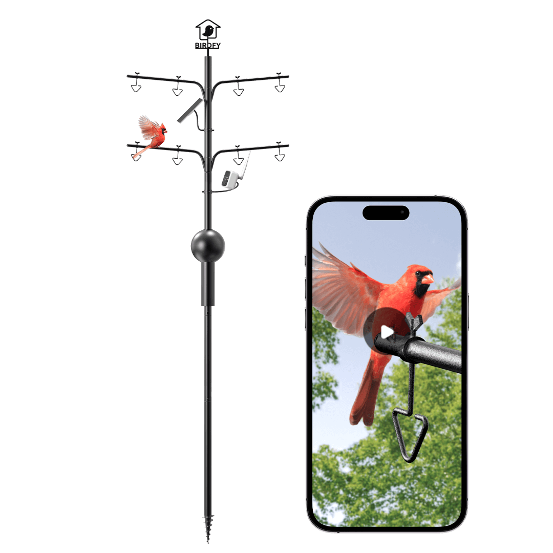 birdfy-pole-vogelfutterstation-stange-8-haken-eichh-rnchenschutz image 8