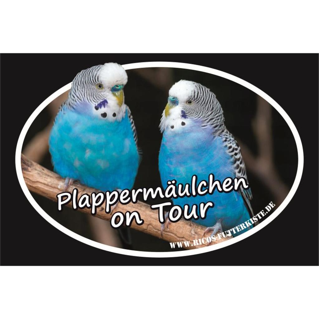 bo104-autoaufkleber-wellensittich-sticker-19x13-cm image 1
