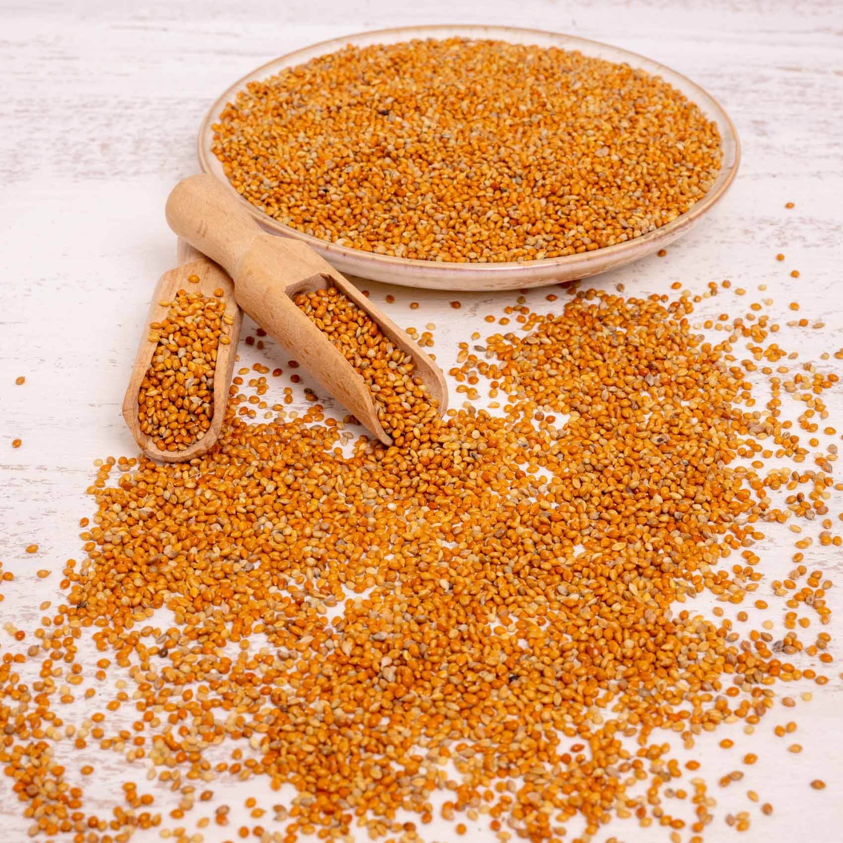 rico-s-futterkiste-mannahirse-vogelfutter-500-g-feink-rnig image 3