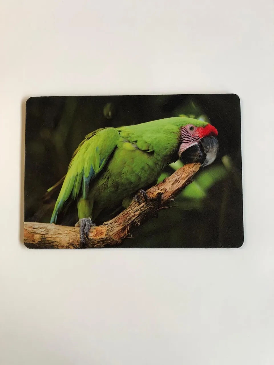 rico-s-futterkiste-mousepad-soldatenara-volierenzubeh-r-27x19-cm image 1