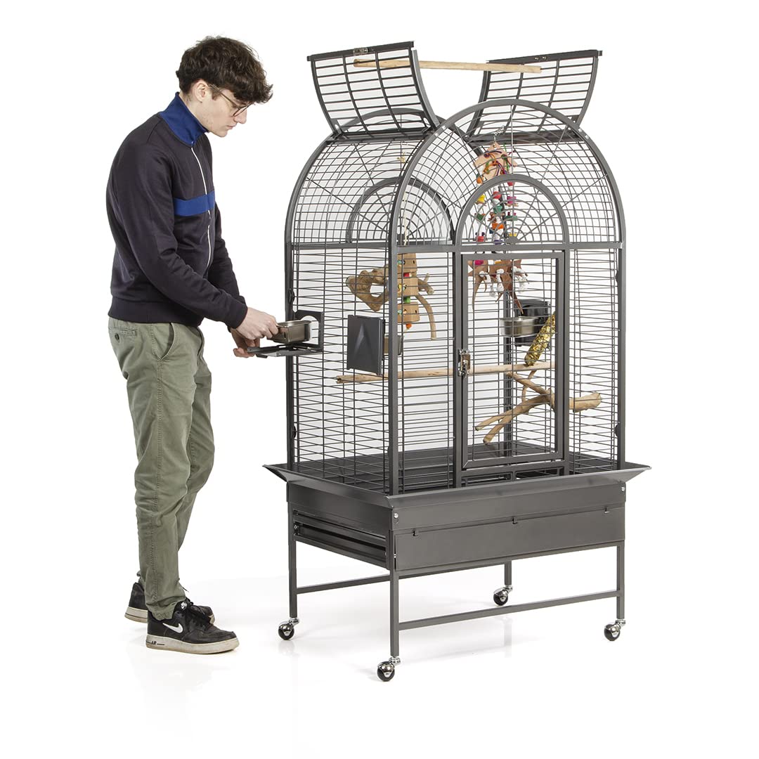 montana-cages-new-jersey-papageienk-fig-antik-mit-freisitz image 2