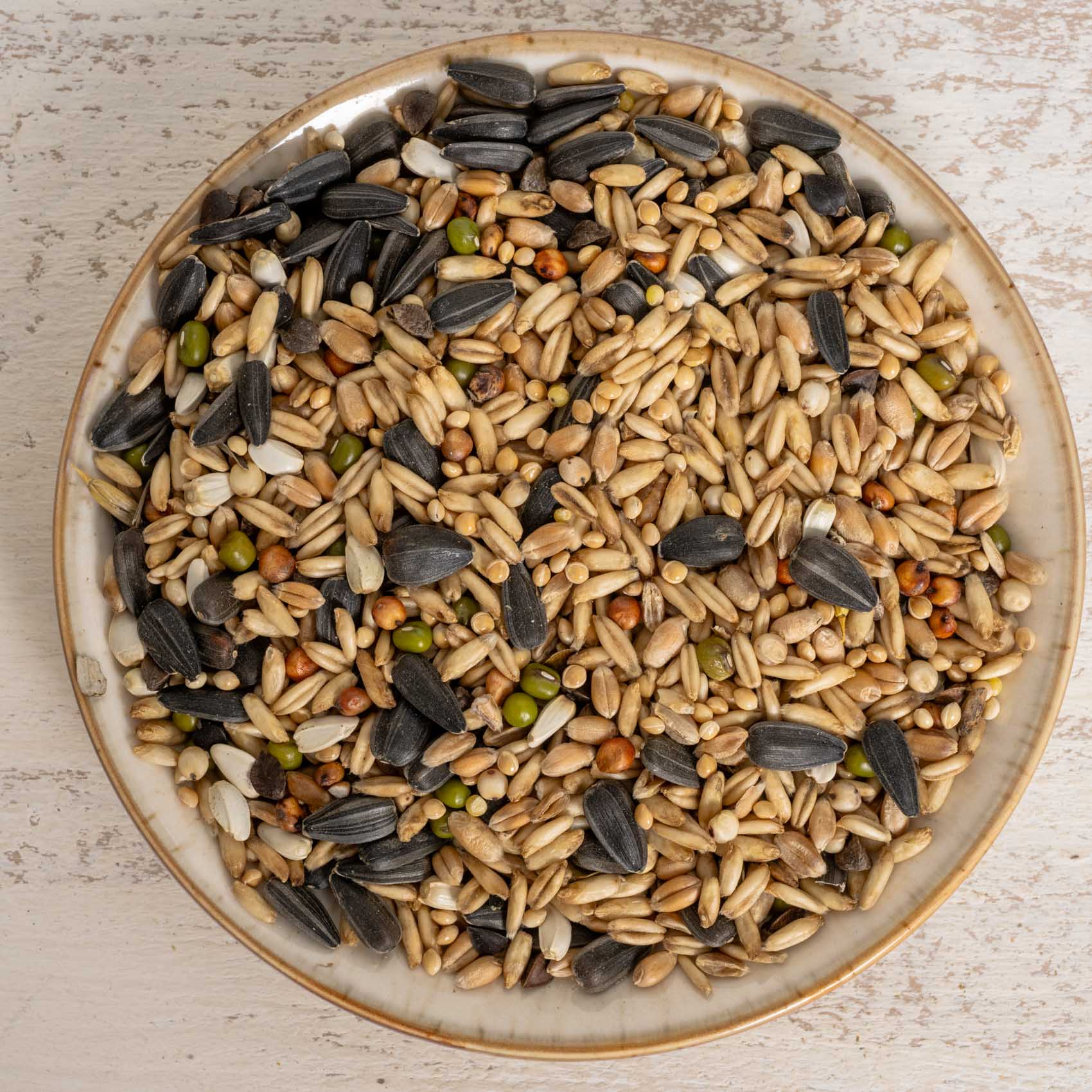 rico-s-futterkiste-keimfutter-gro-sittiche-500g-vitaminreich image 1