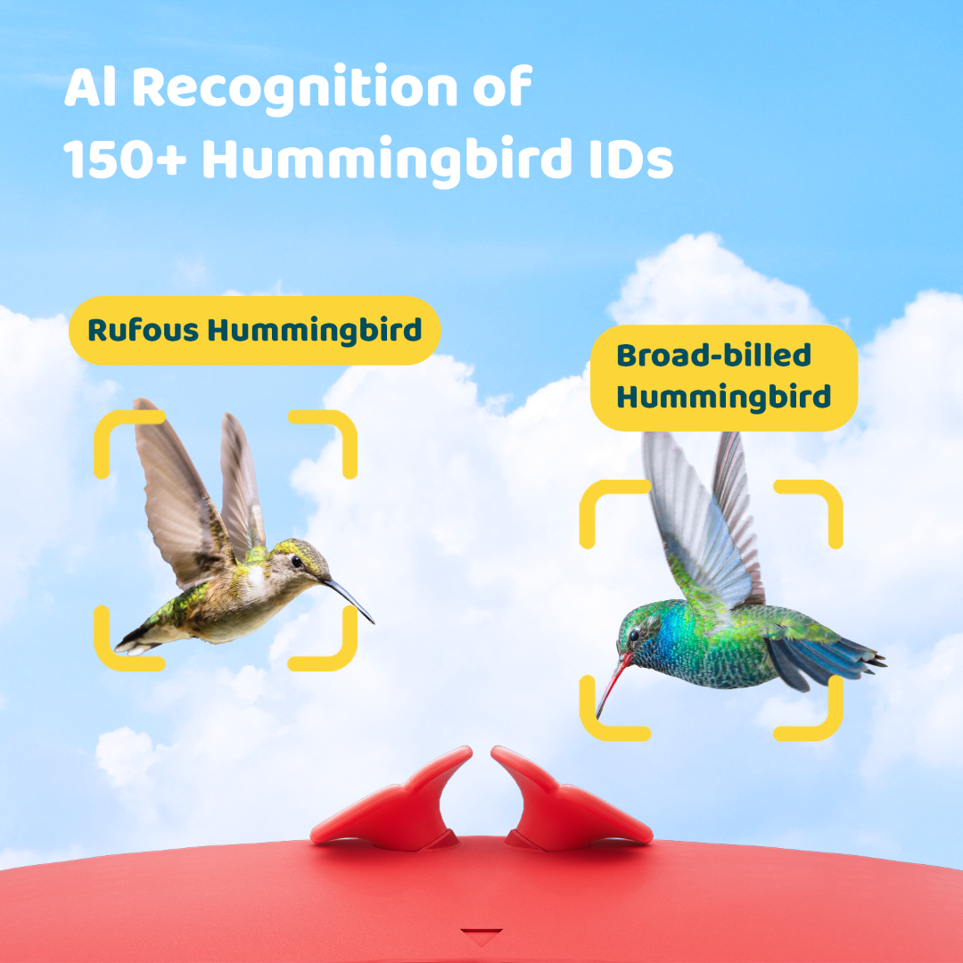 birdfy-hum-feeder-kolibri-futterspender-kamera-ameisenschutz image 7