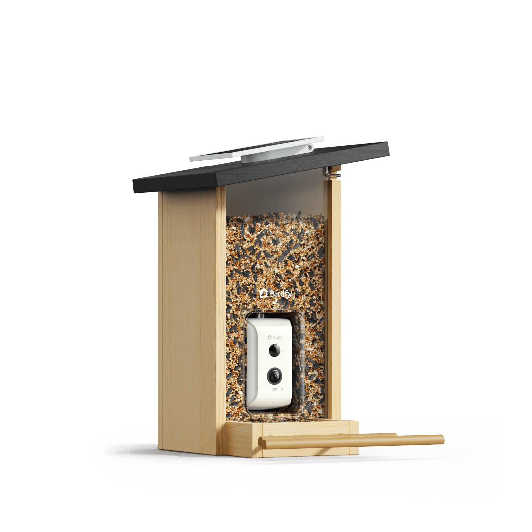 birdfy-feeder-ebony-vogelhaus-mit-kamera-1080p-holz-nachtsicht image 1