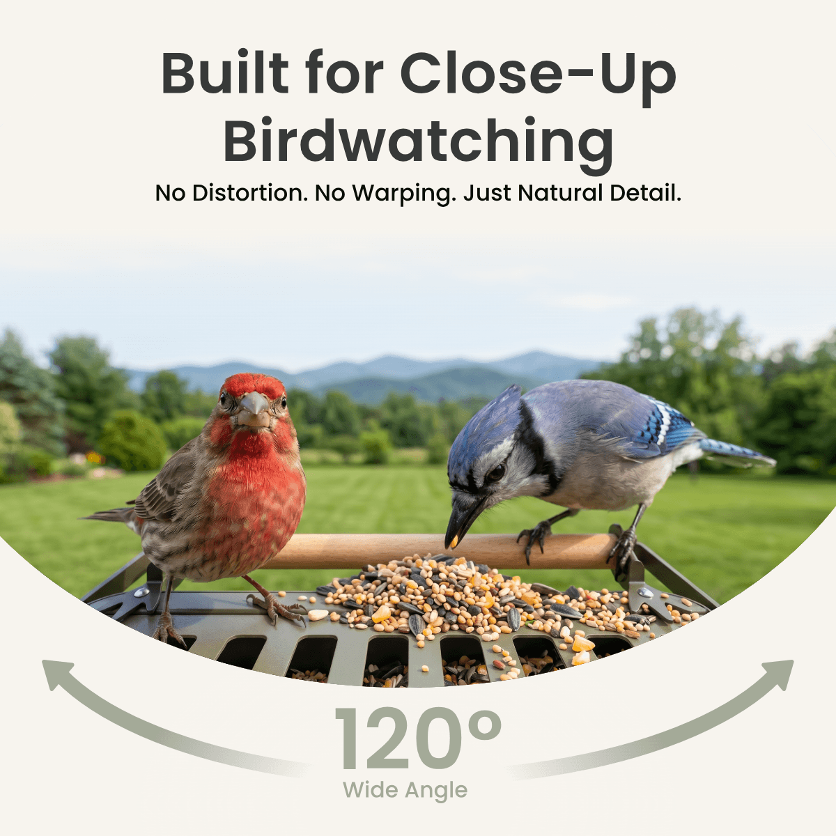 birdfy-feeder-metal-2-4k-vogelfutterhaus-mit-kamera-lifetime image 6