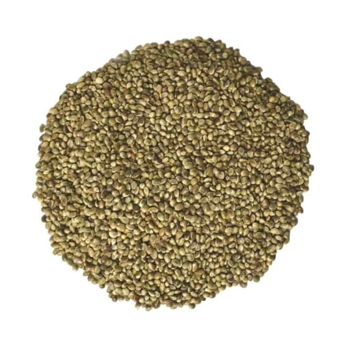 klasebo-vogelfutter-hanfsaat-10kg-f-r-v-gel-nager-pferde image 3