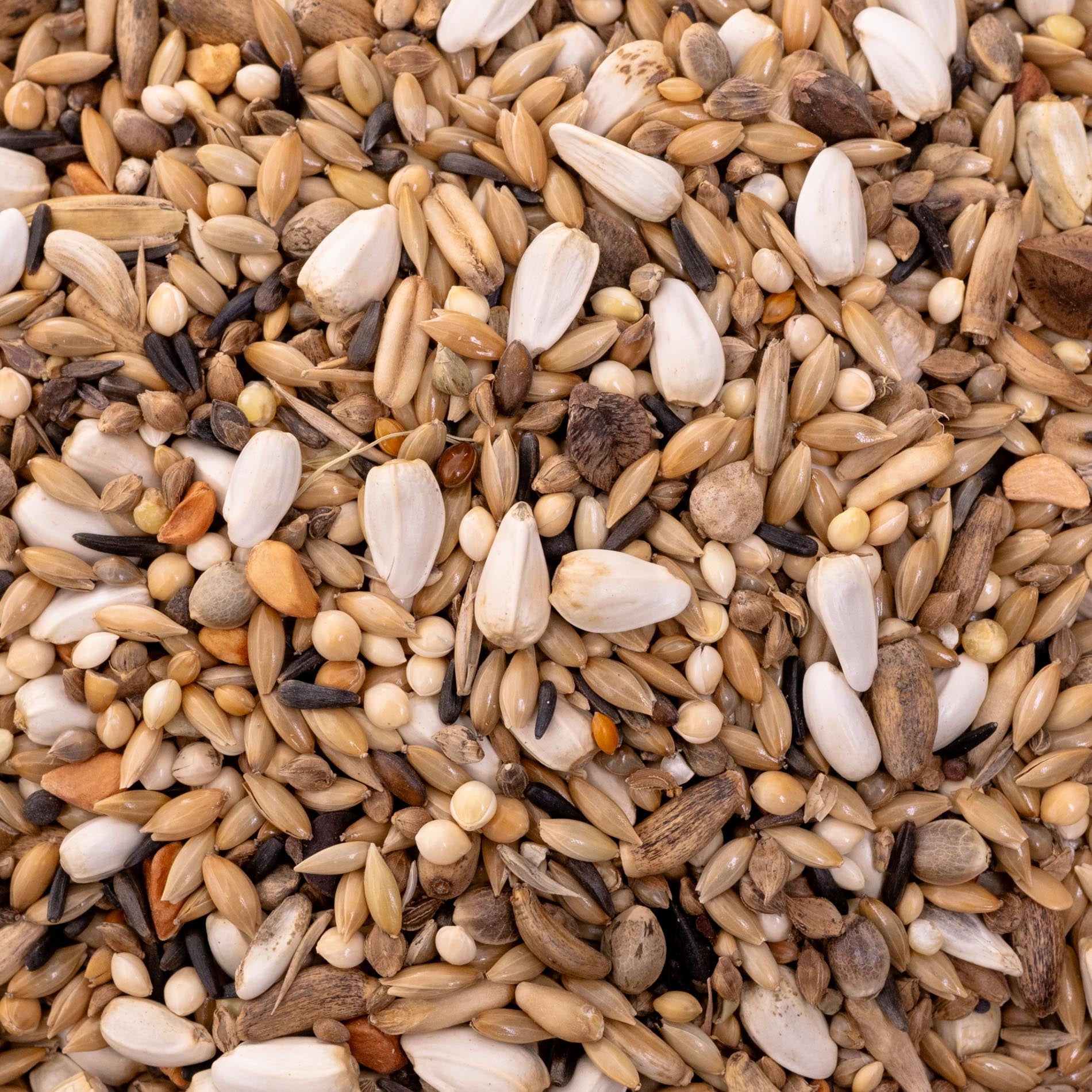 rico-s-futterkiste-agaporniden-spezial-vogelfutter-1-kg-23-saaten image 2