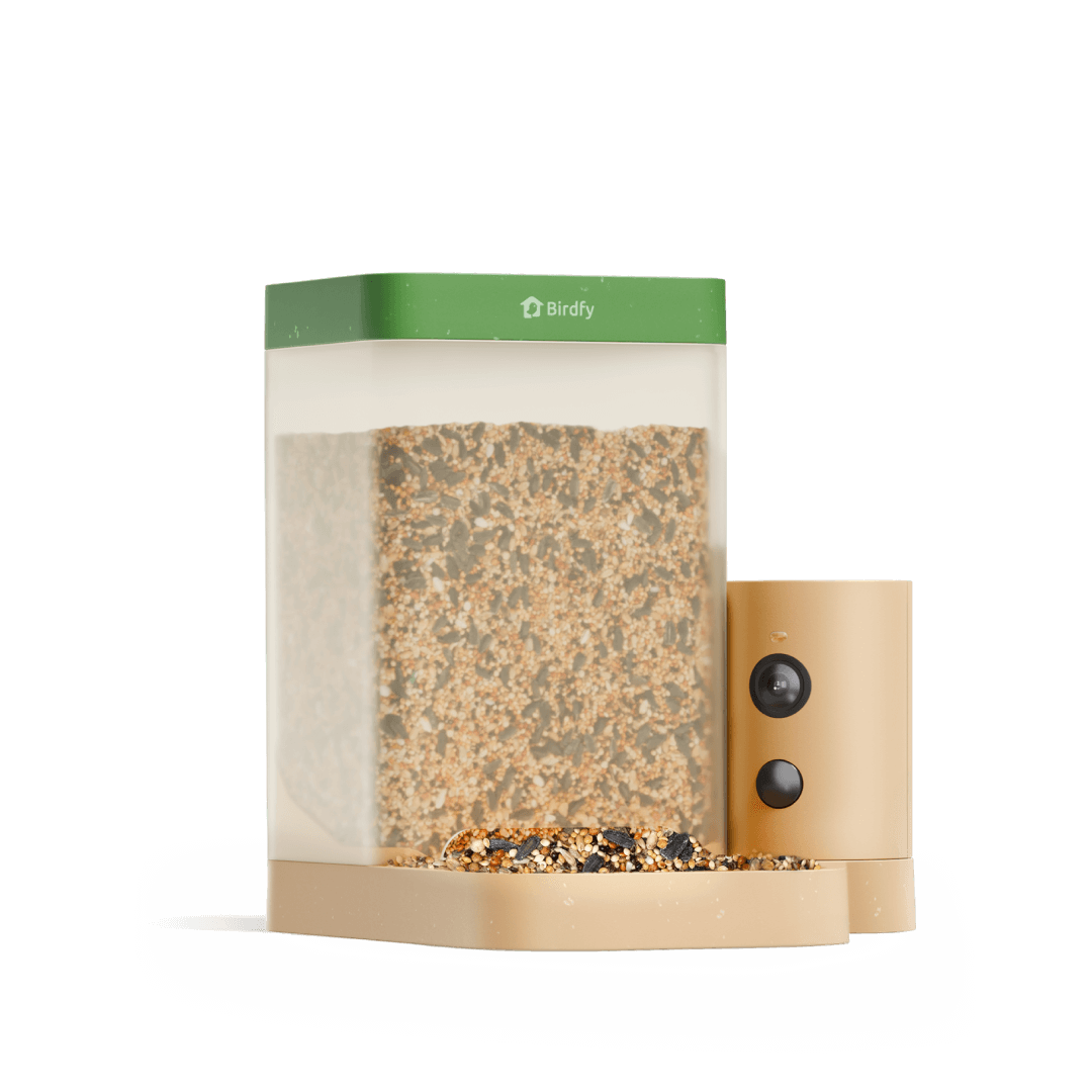 birdfy-feeder-rookie-vogelhaus-mit-kamera-1080p-inkl-mitgliedschaft image 1