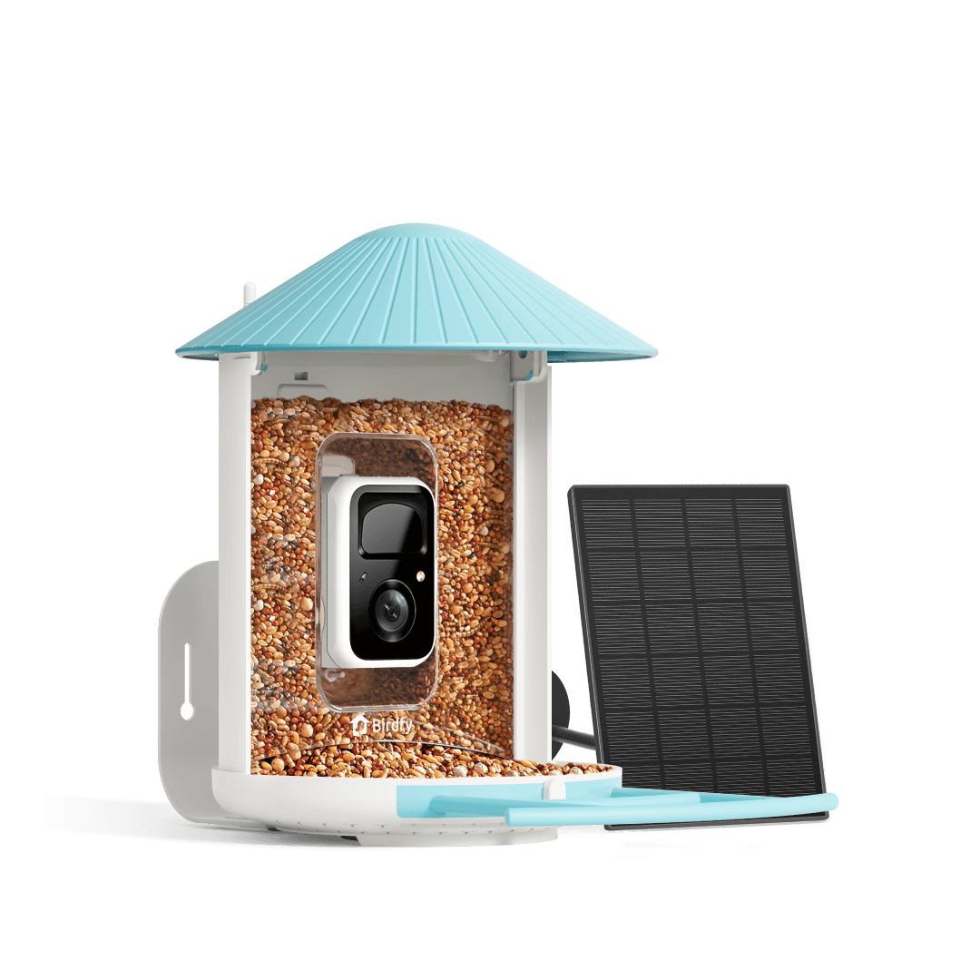birdfy-feeder-bf1-vogelhaus-mit-kamera-solar-ki-erkennung image 1